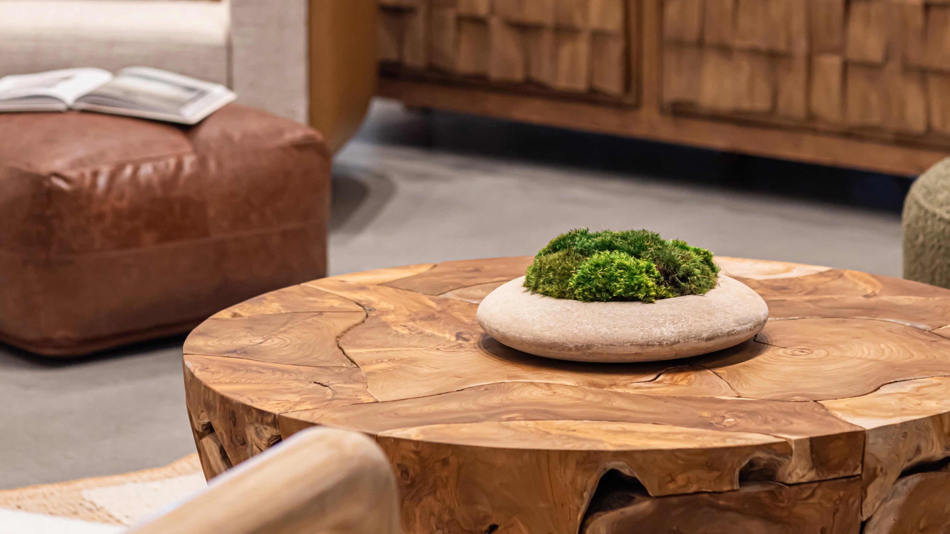 Plant Accessories