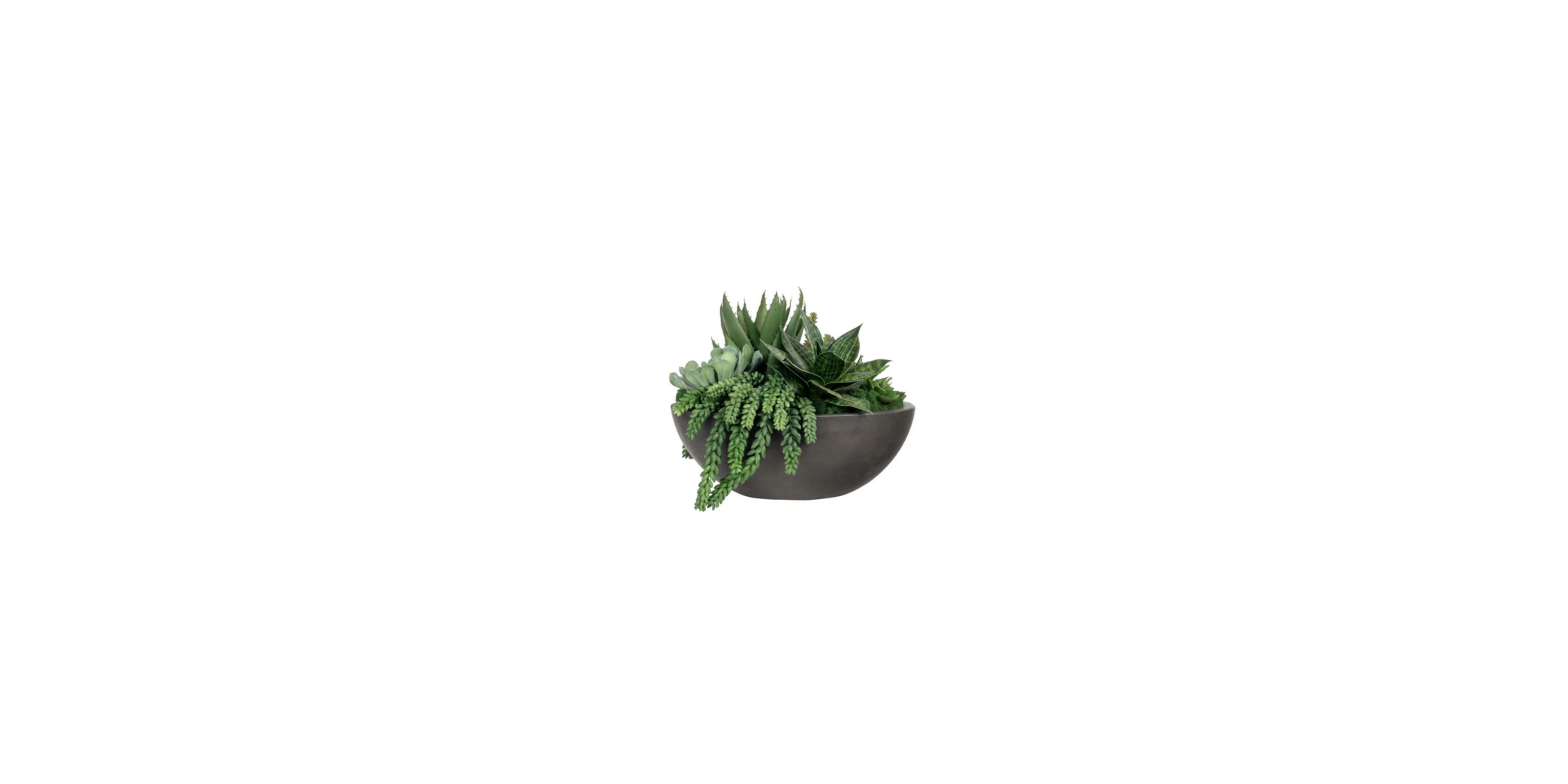 POPULAR GREENERY/FLORALS