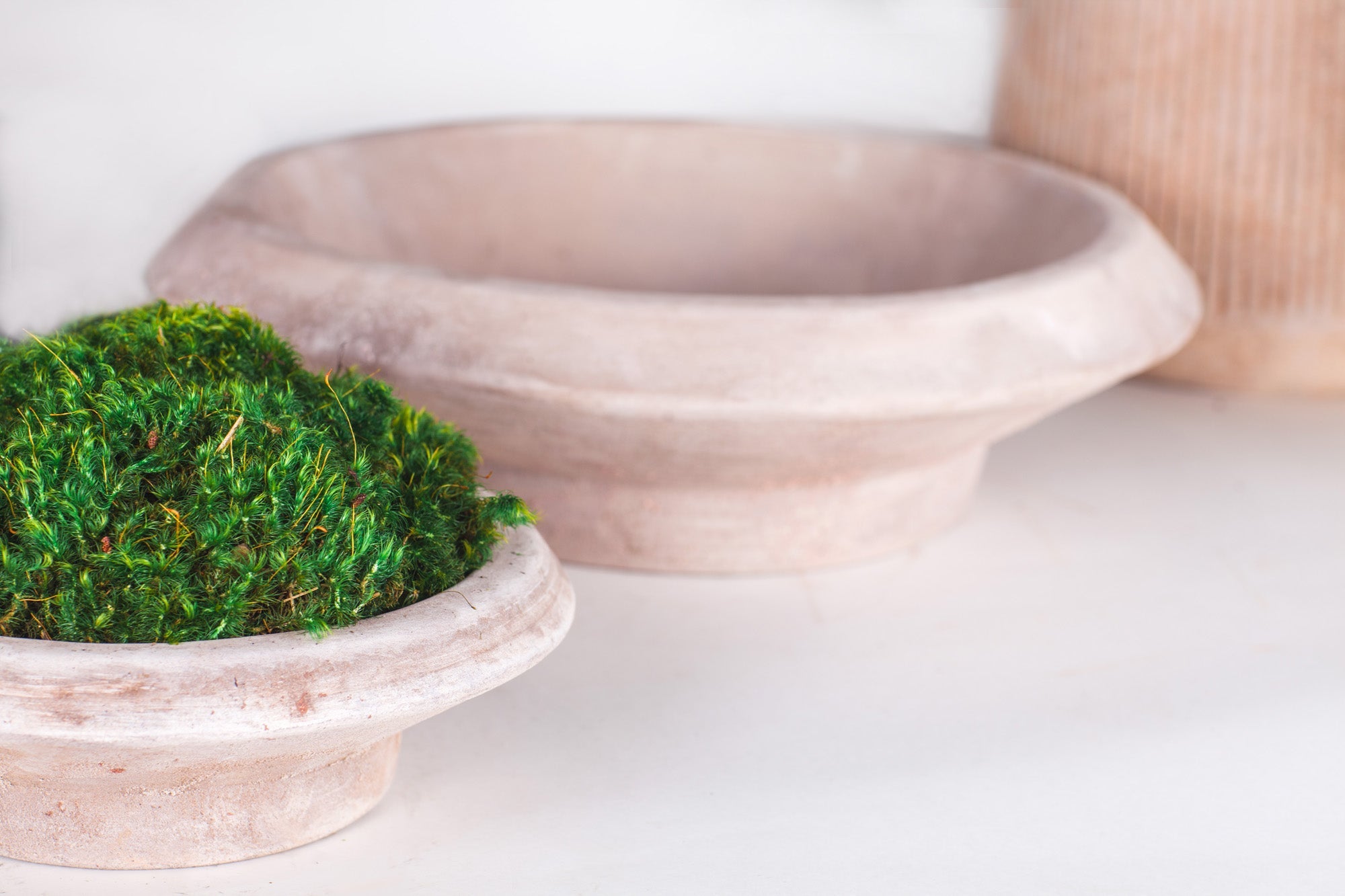 Plant Accessories