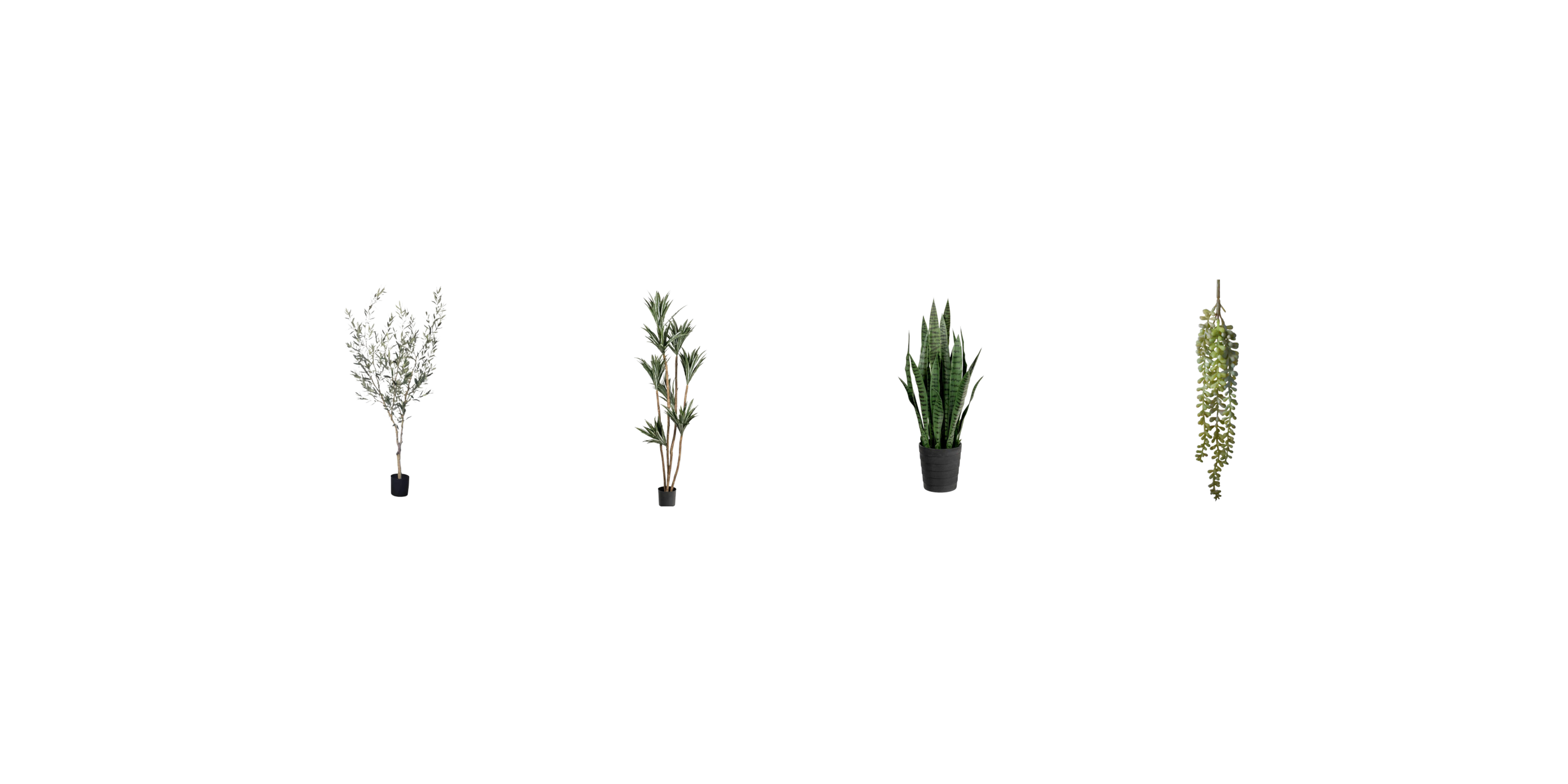 New Succulents, Stems and Trees