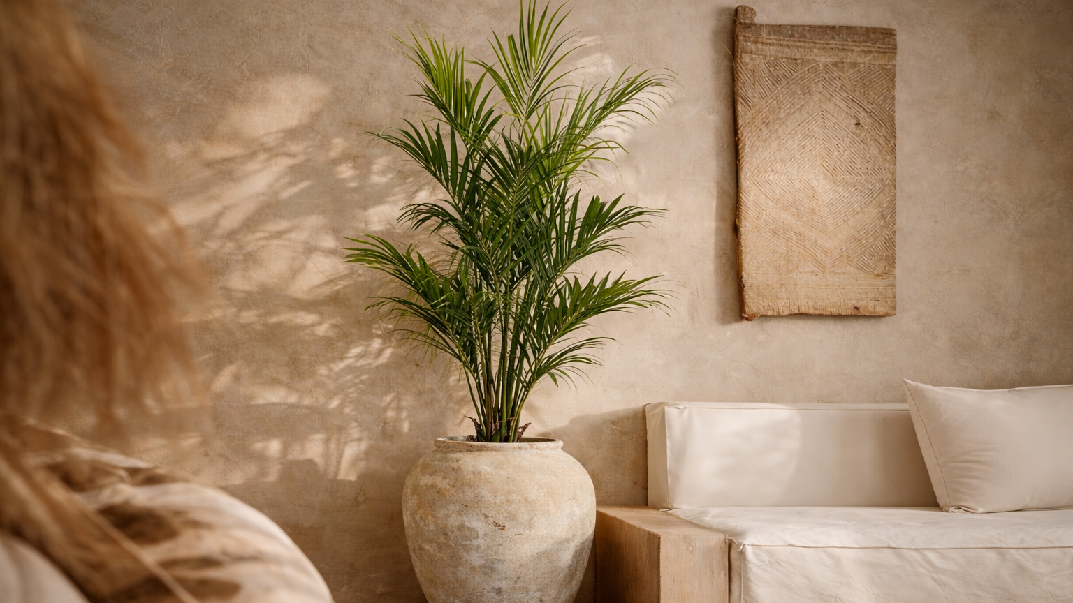 Bamboo | Bird of Paradise | Palms