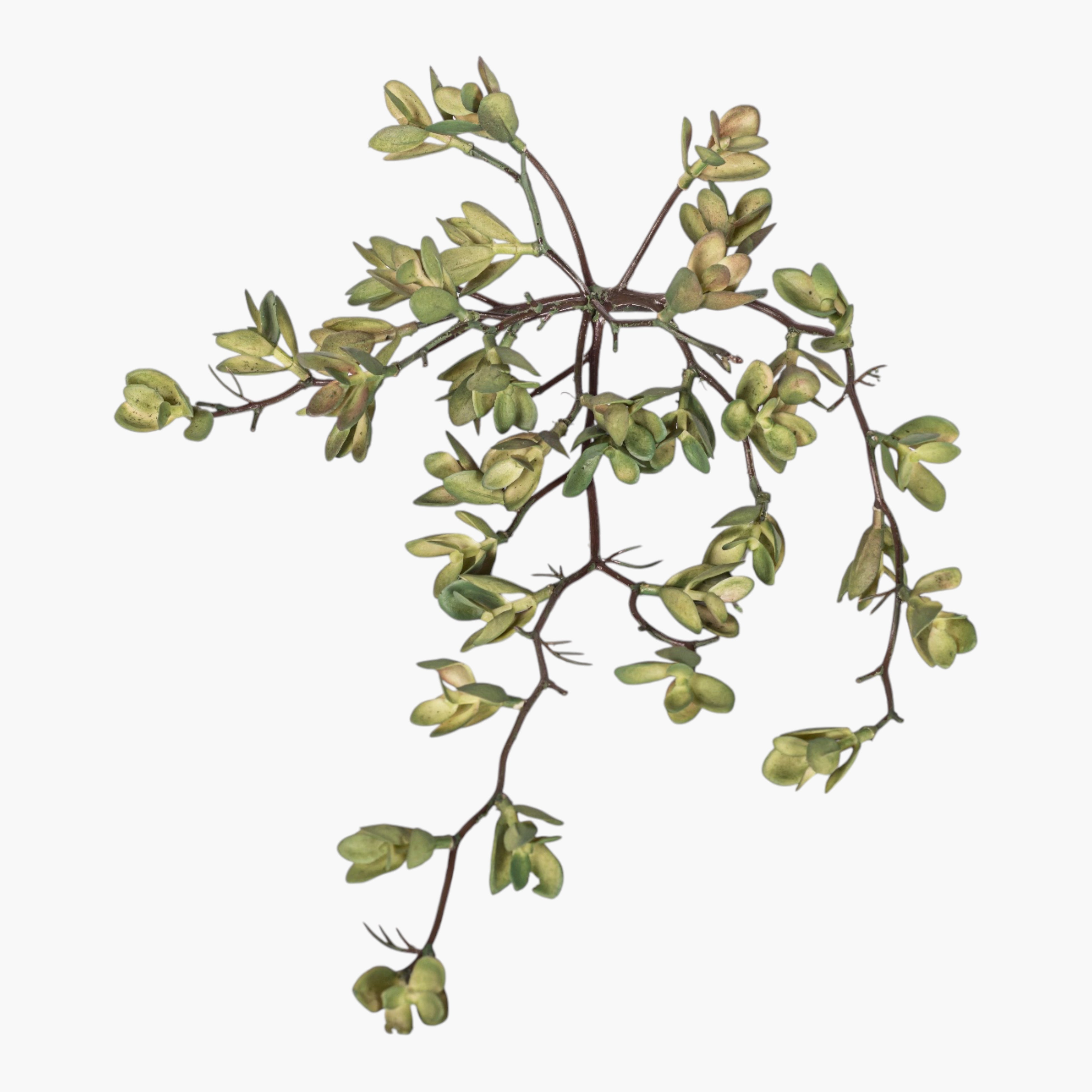 8" Multi-Head Succulent Stem MH1045
