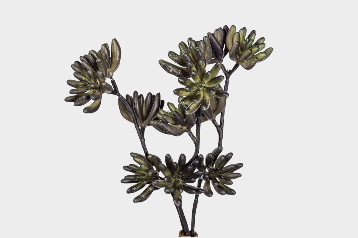 11" Multi-Head Succulent Stem MH1041
