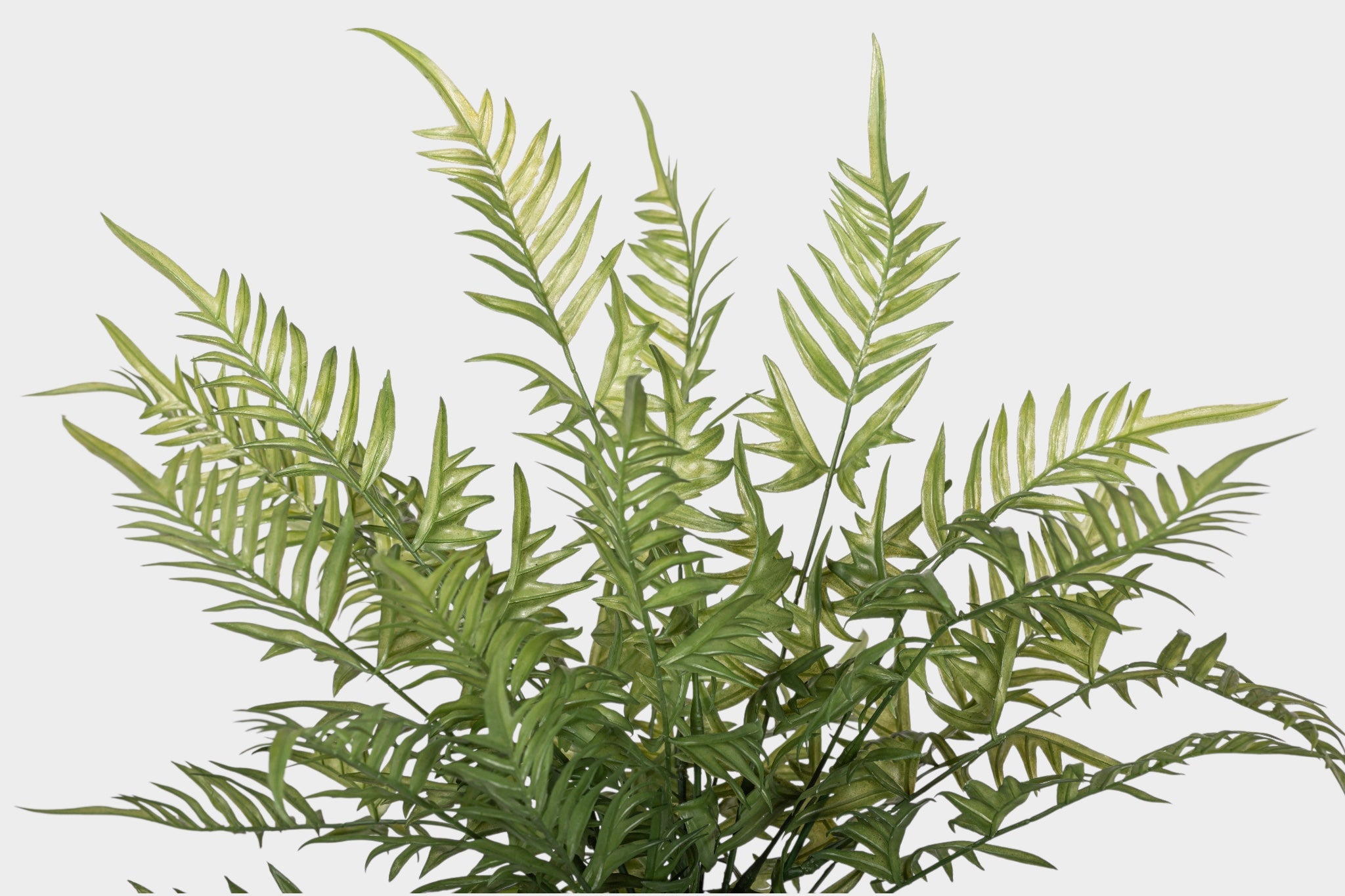 19" Fern Stem FR1044