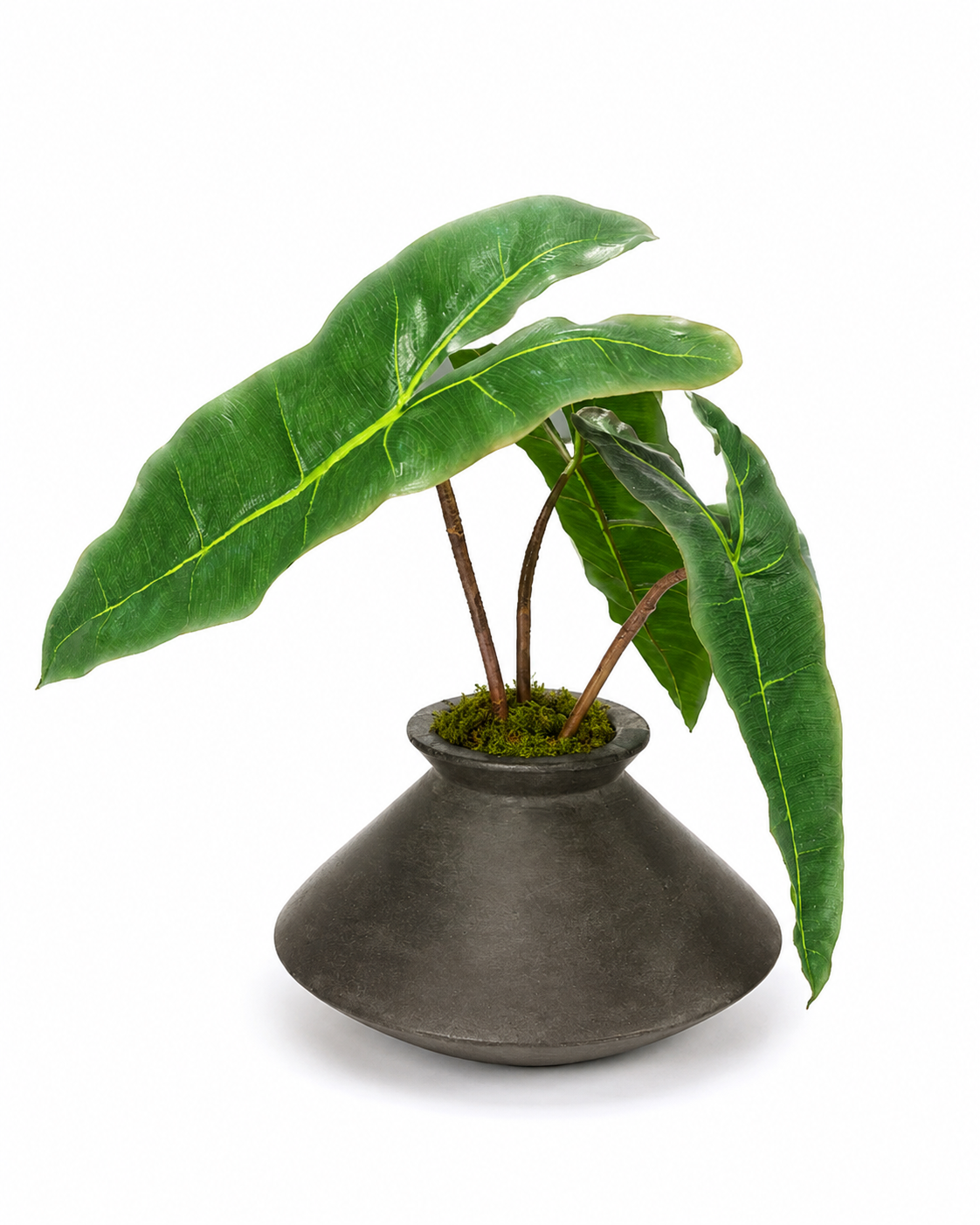 Stanley Vase with Philodendron Leaves Arrangement AR2052