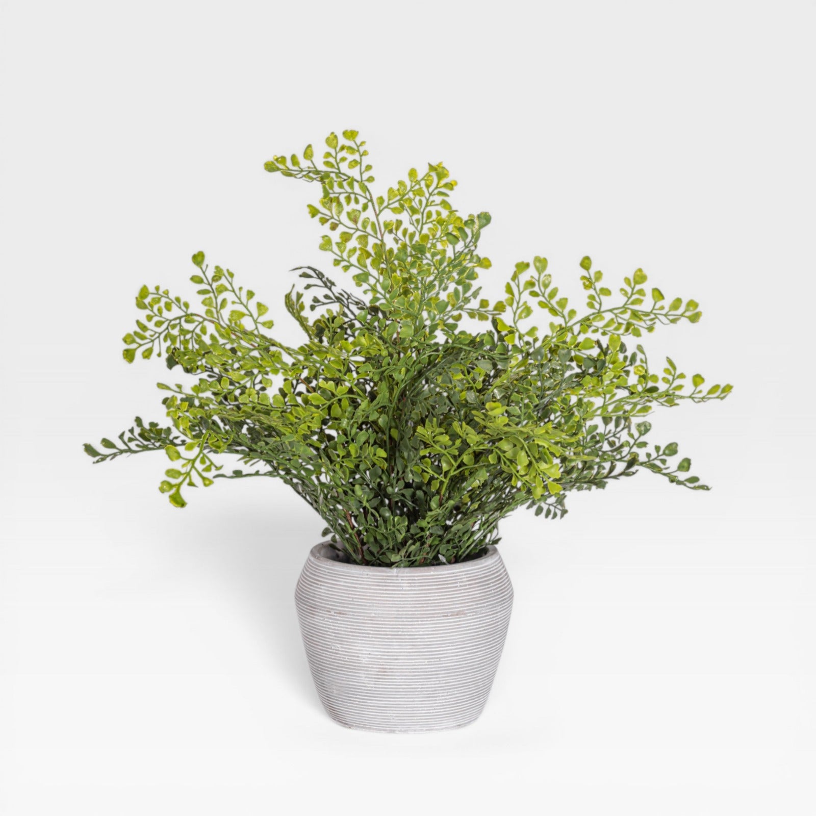 18" Fern Arrangement AR1932