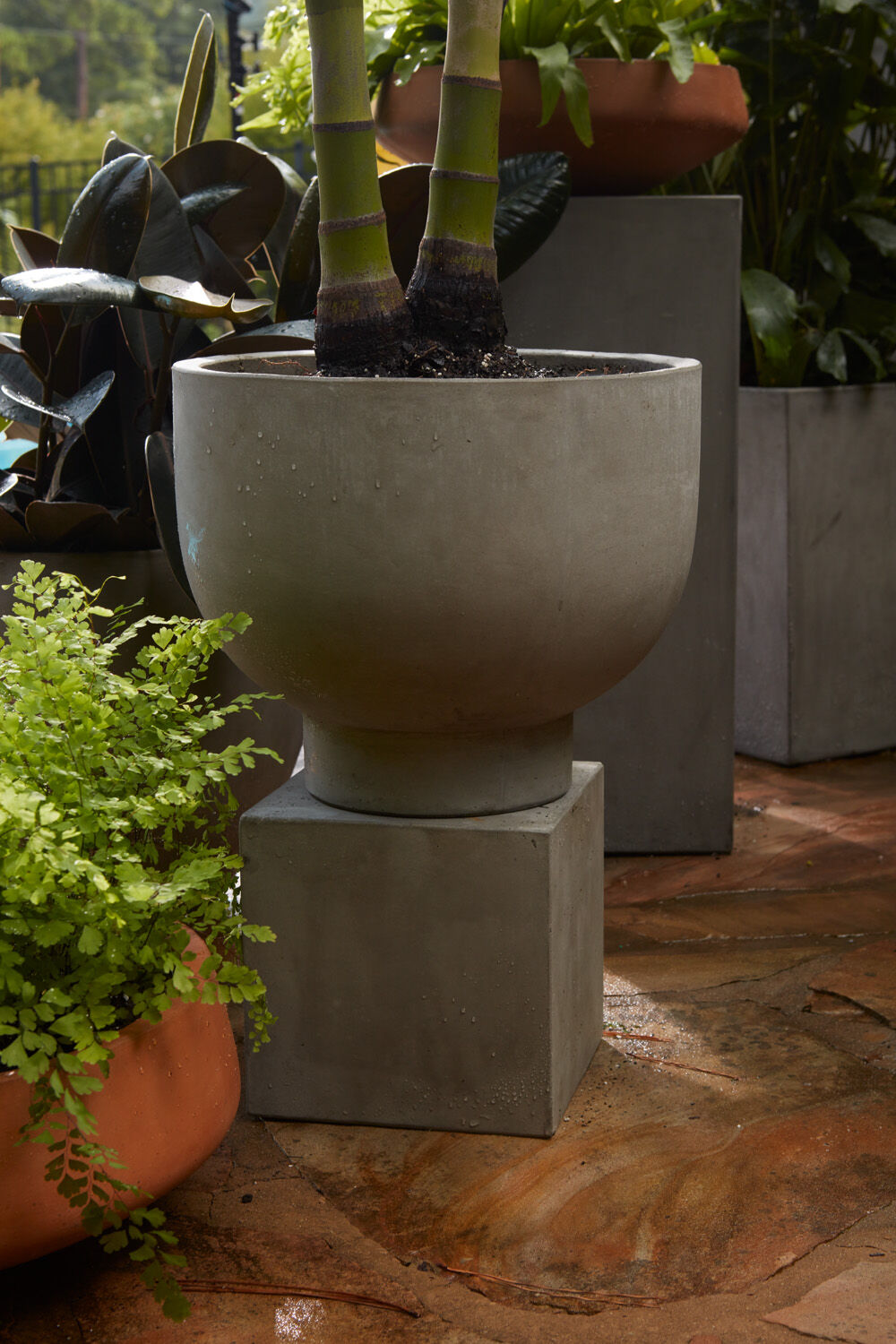 Mack Collection Compote Bowls - Grey Concrete CN1007