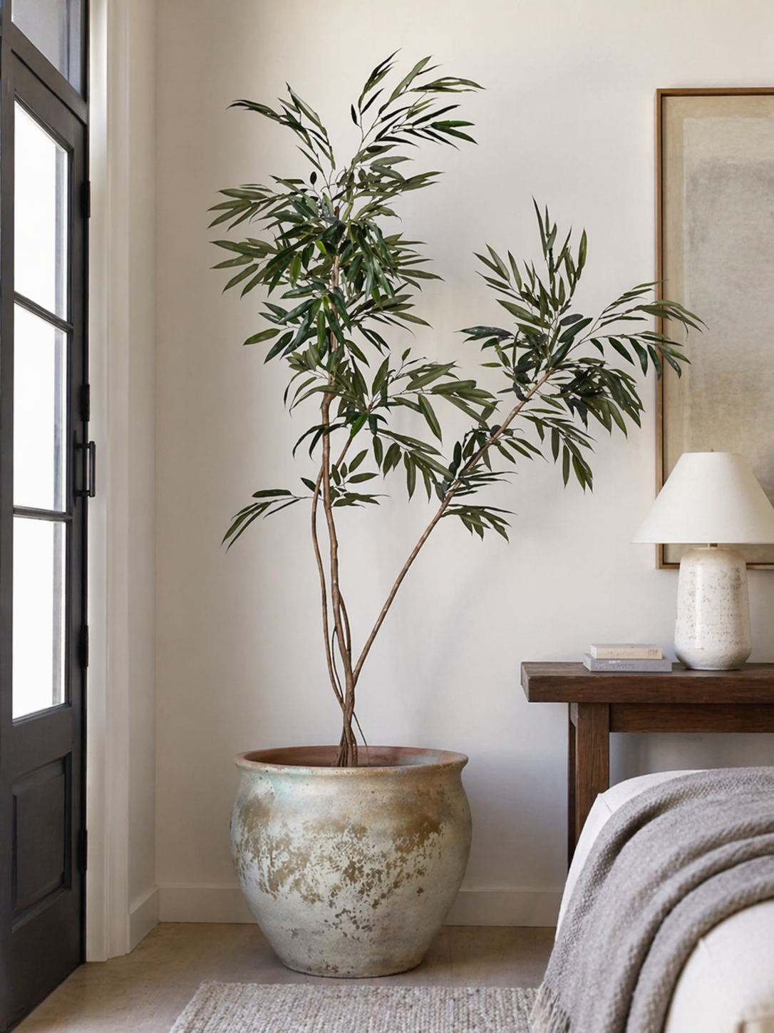 8.5' Ficus Alii Tree FP1431