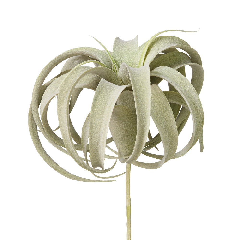 10" UV Airplant AP1011UV