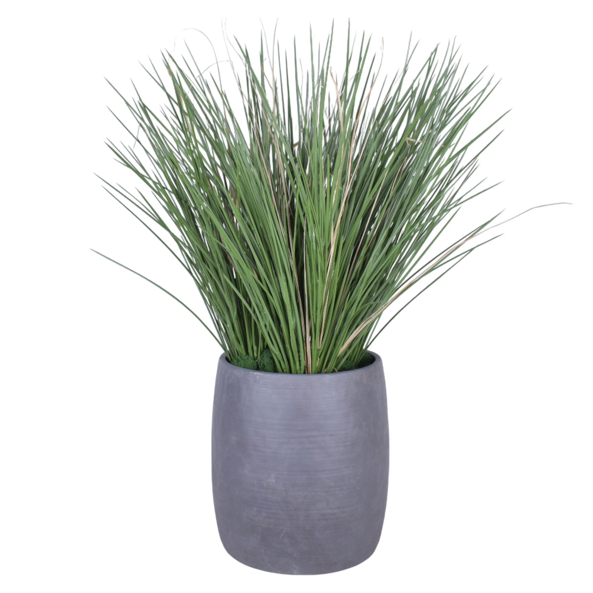13" Crete Planter with Grass Arrangement AR1018