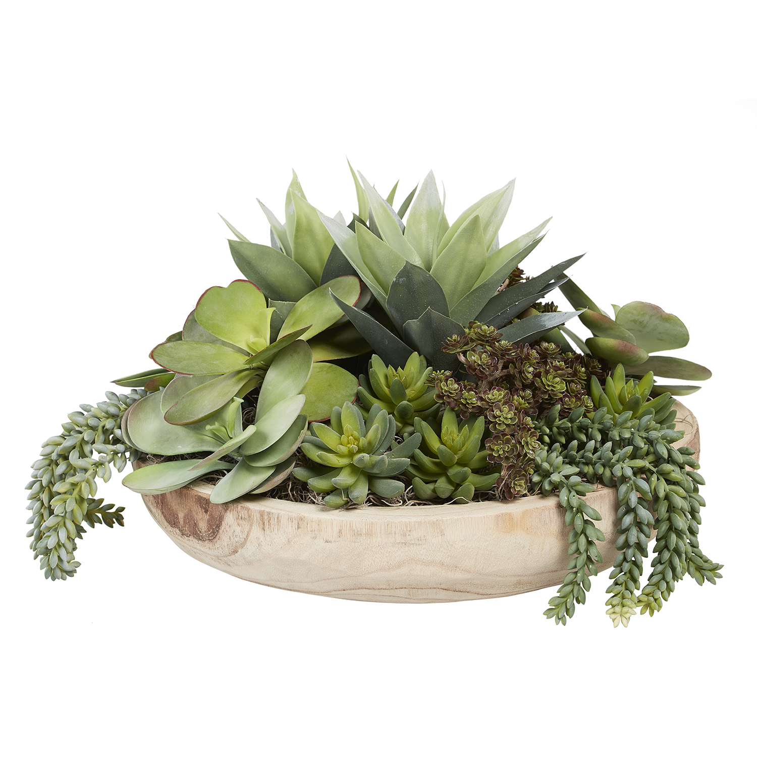 succulents in wooden bowl 17" Sedona Wood Bowl with Mixed Succulents AR1022
