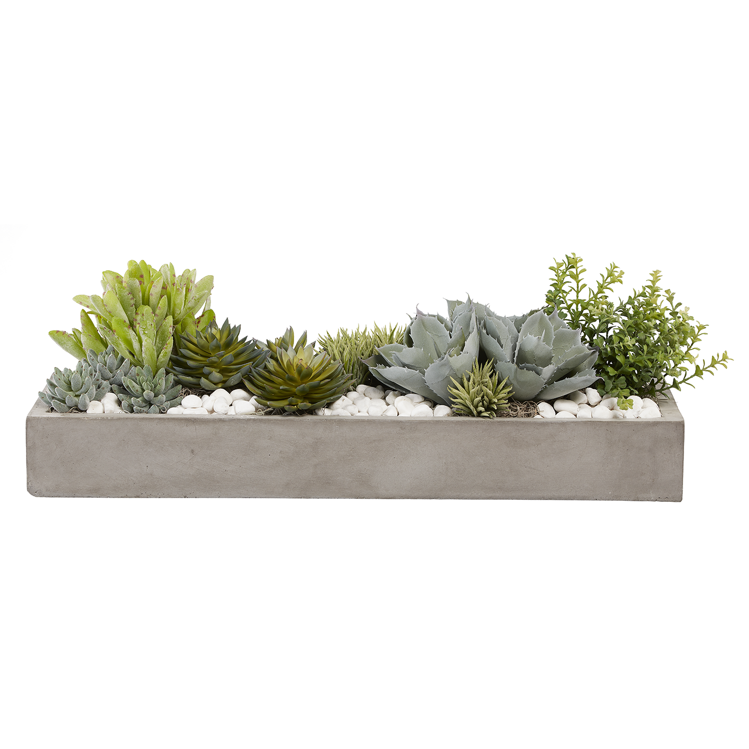 31" Balboa Concrete Tray with Succulent Arrangement AR1030
