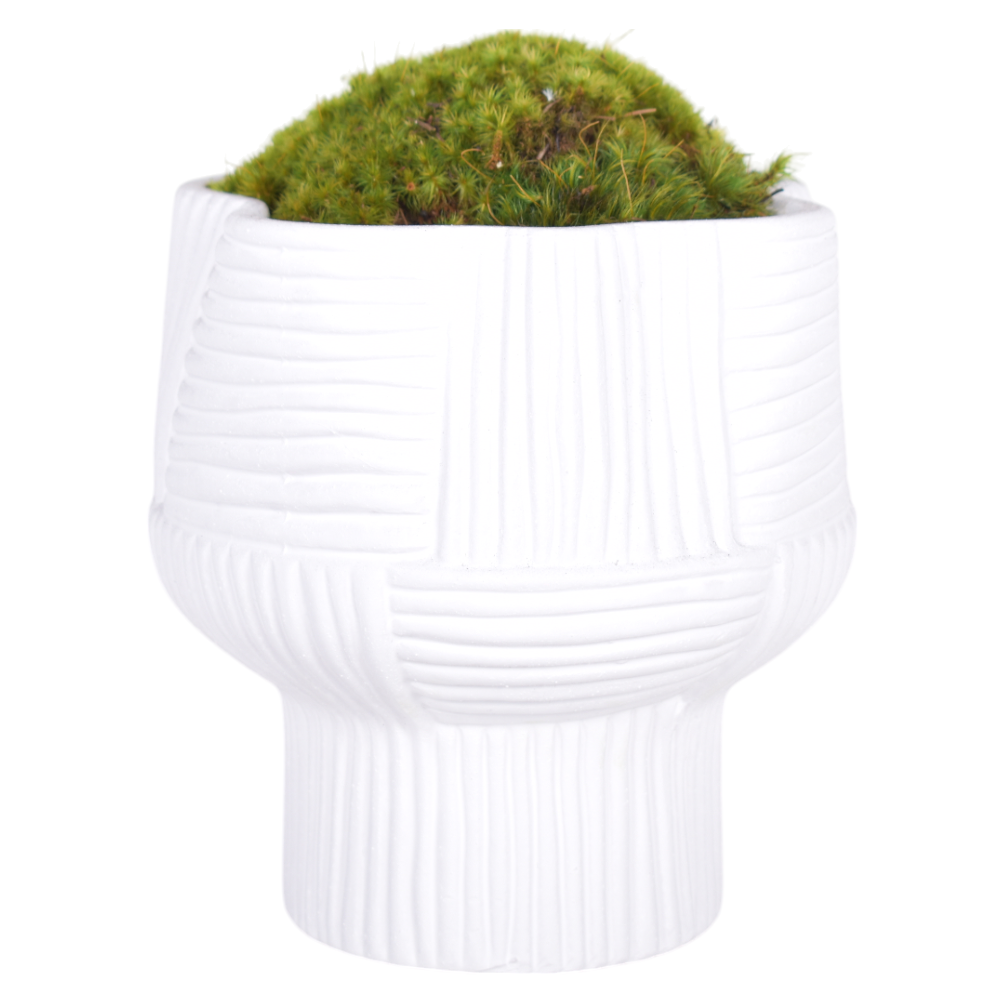 7.5" Turin Pot with Mood Moss Arrangement AR1038