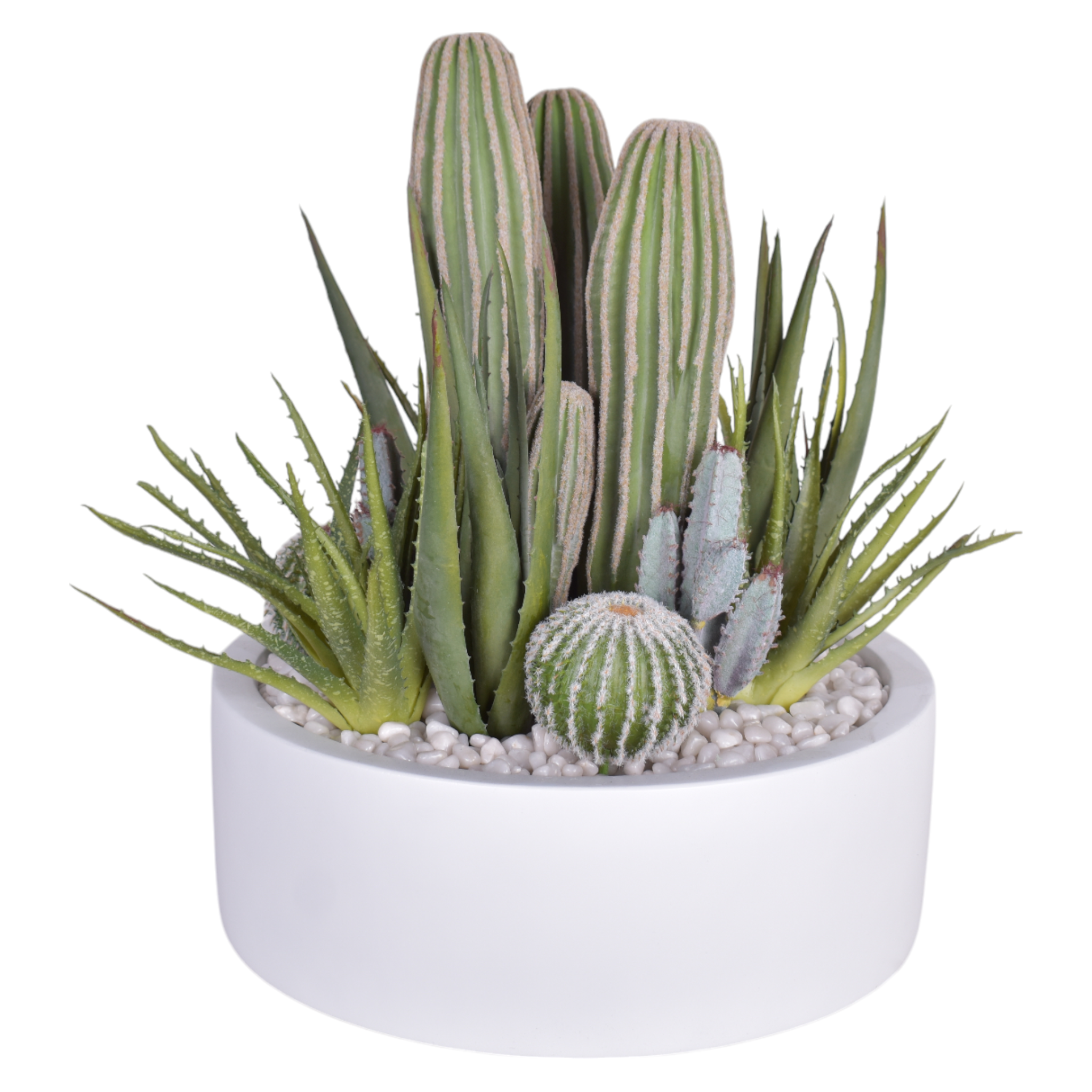 14" Morgan Bowl with Cactus Arrangement AR1071