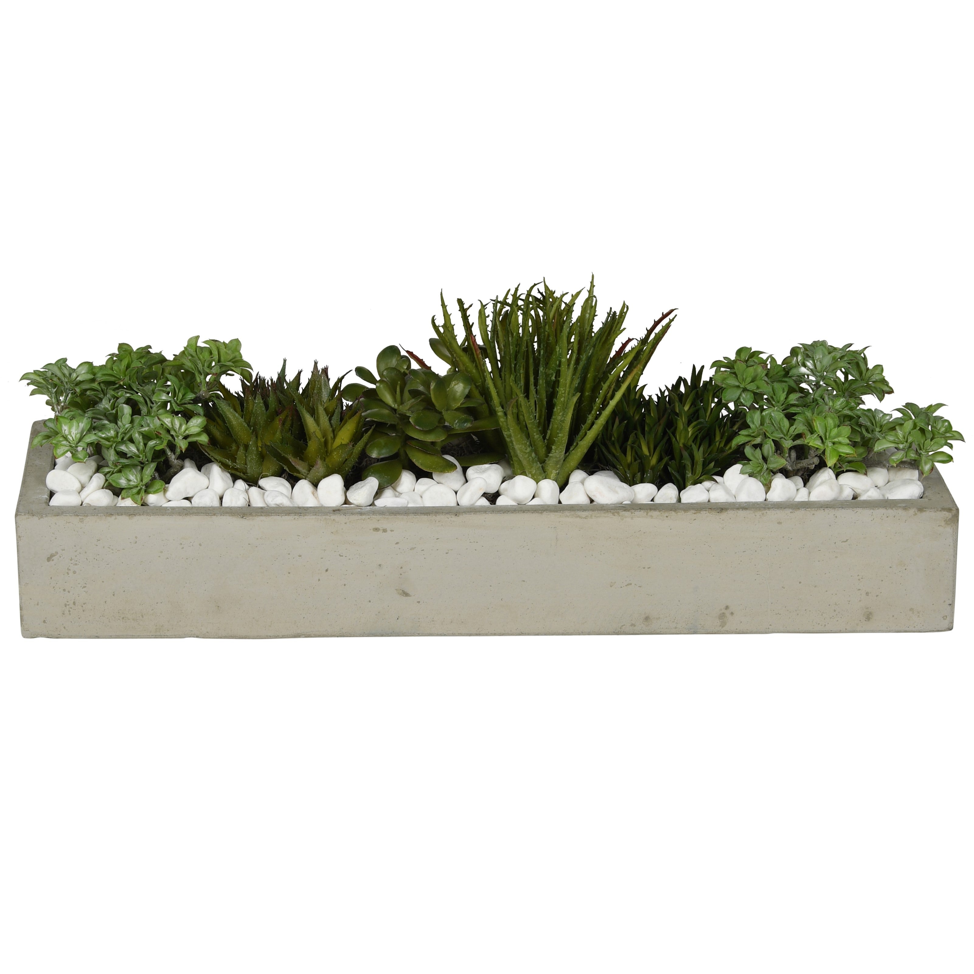 24"L Balboa Concrete Tray Succulent Arrangement AR1078