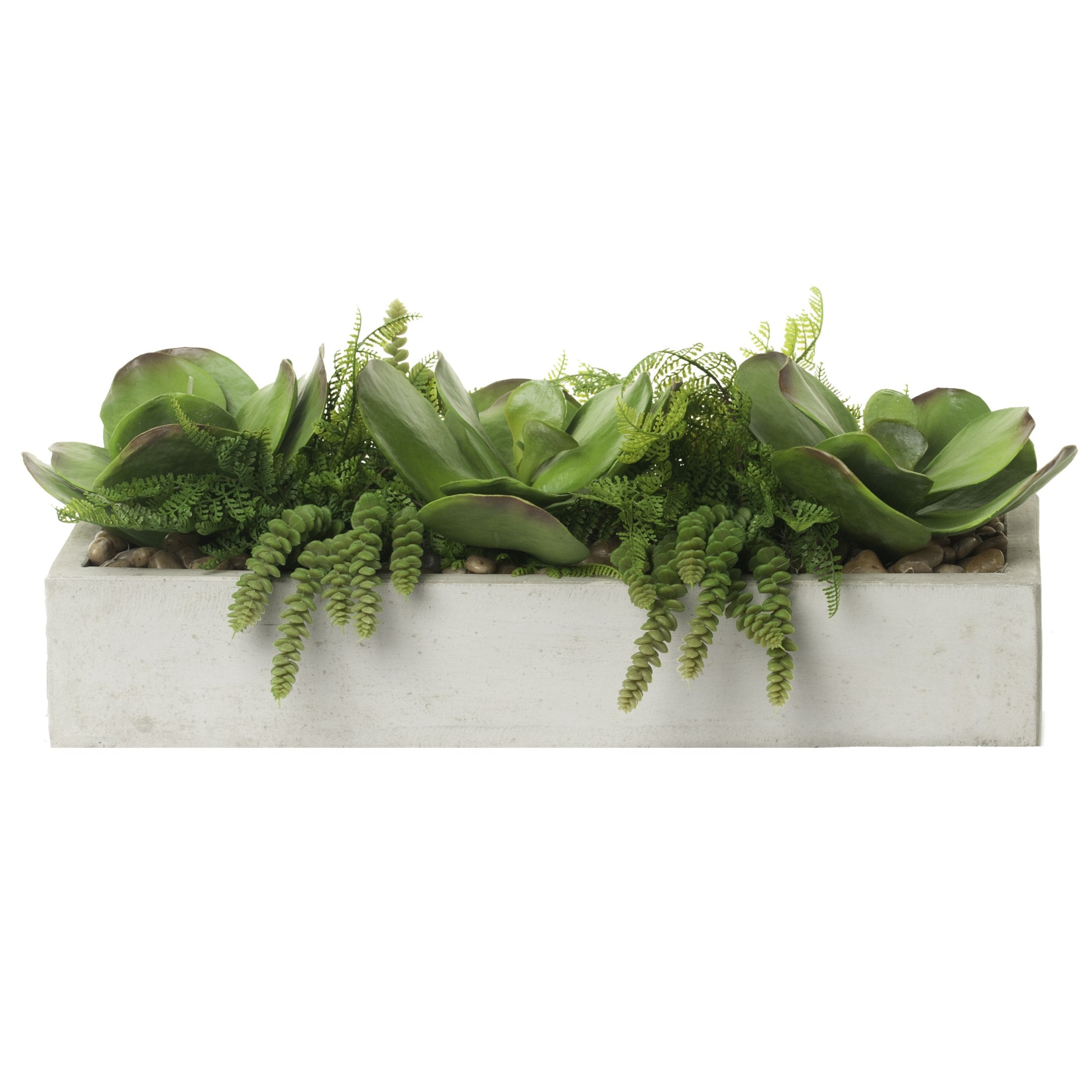 24”L Balboa Concrete Tray Succulent Arrangement AR1092