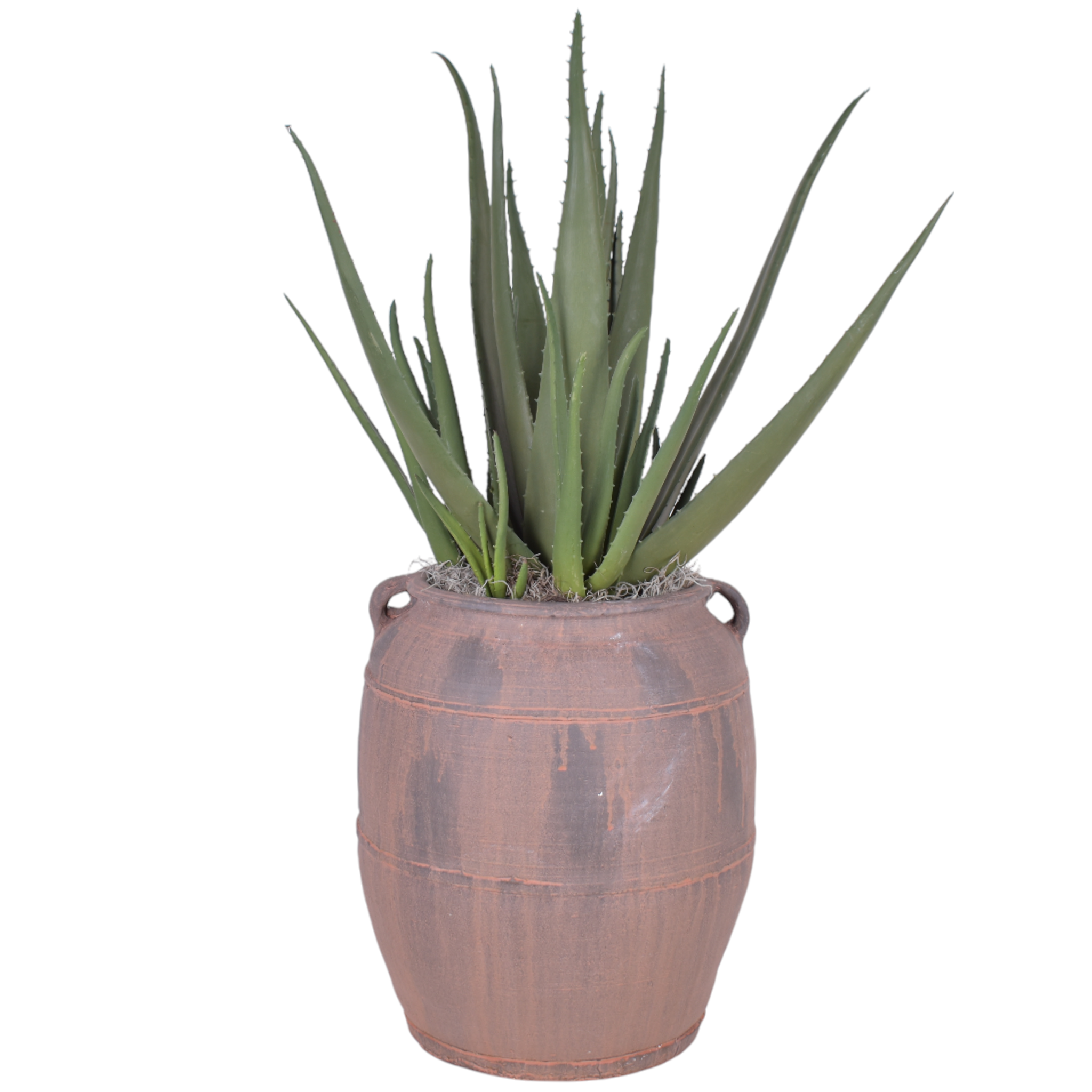 Prescott Planter with UV Protected Aloe Plant AR1094UV