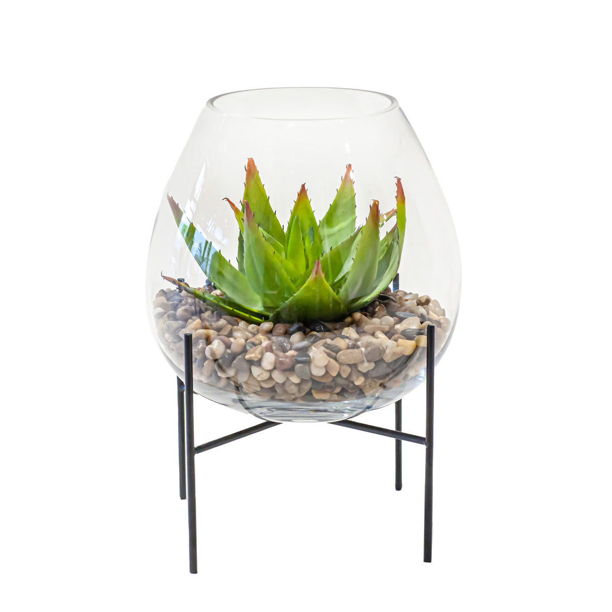 13.5" Carl Vase with Aloe   AR1097