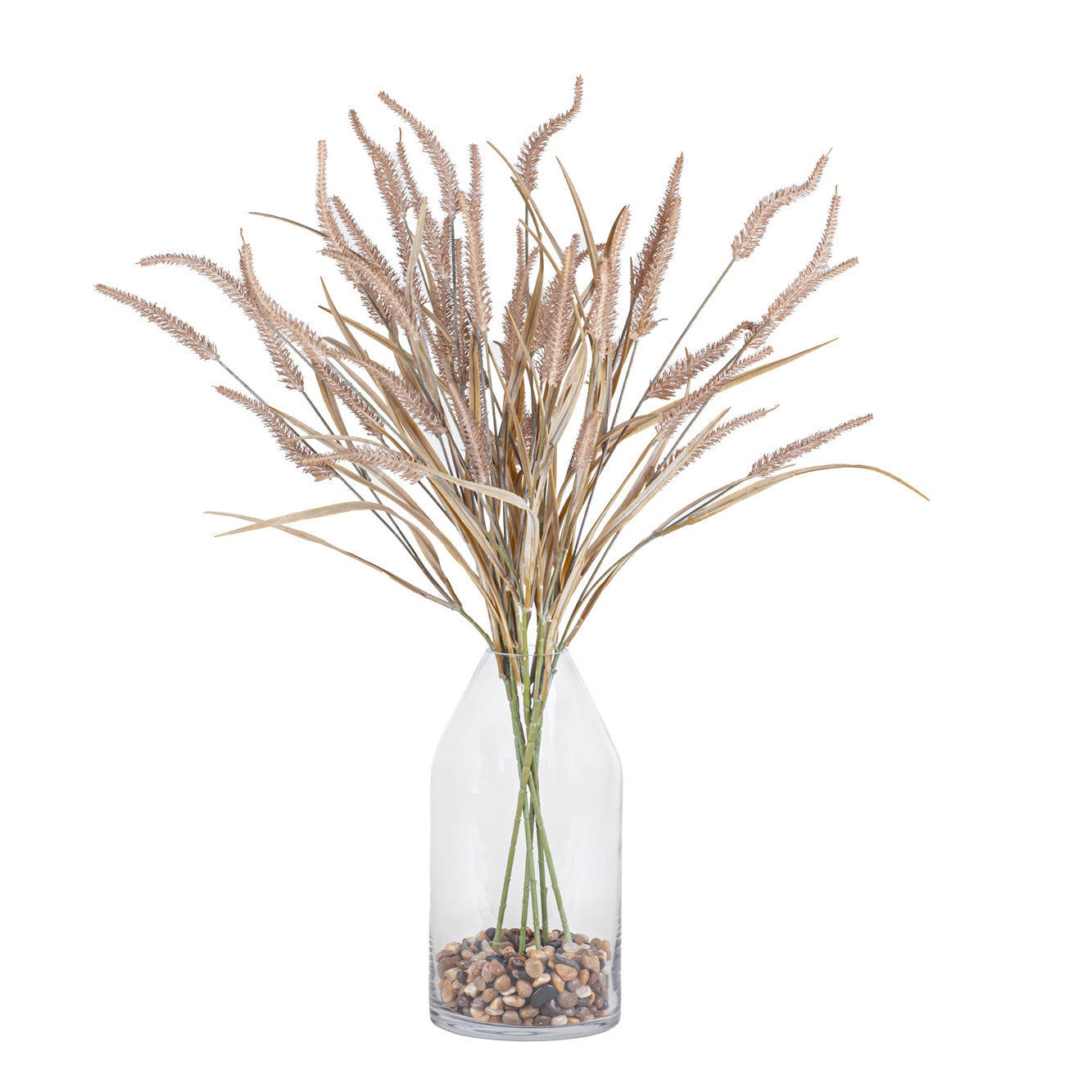 11" Skylie Vase with Foxtail Stems   AR1113