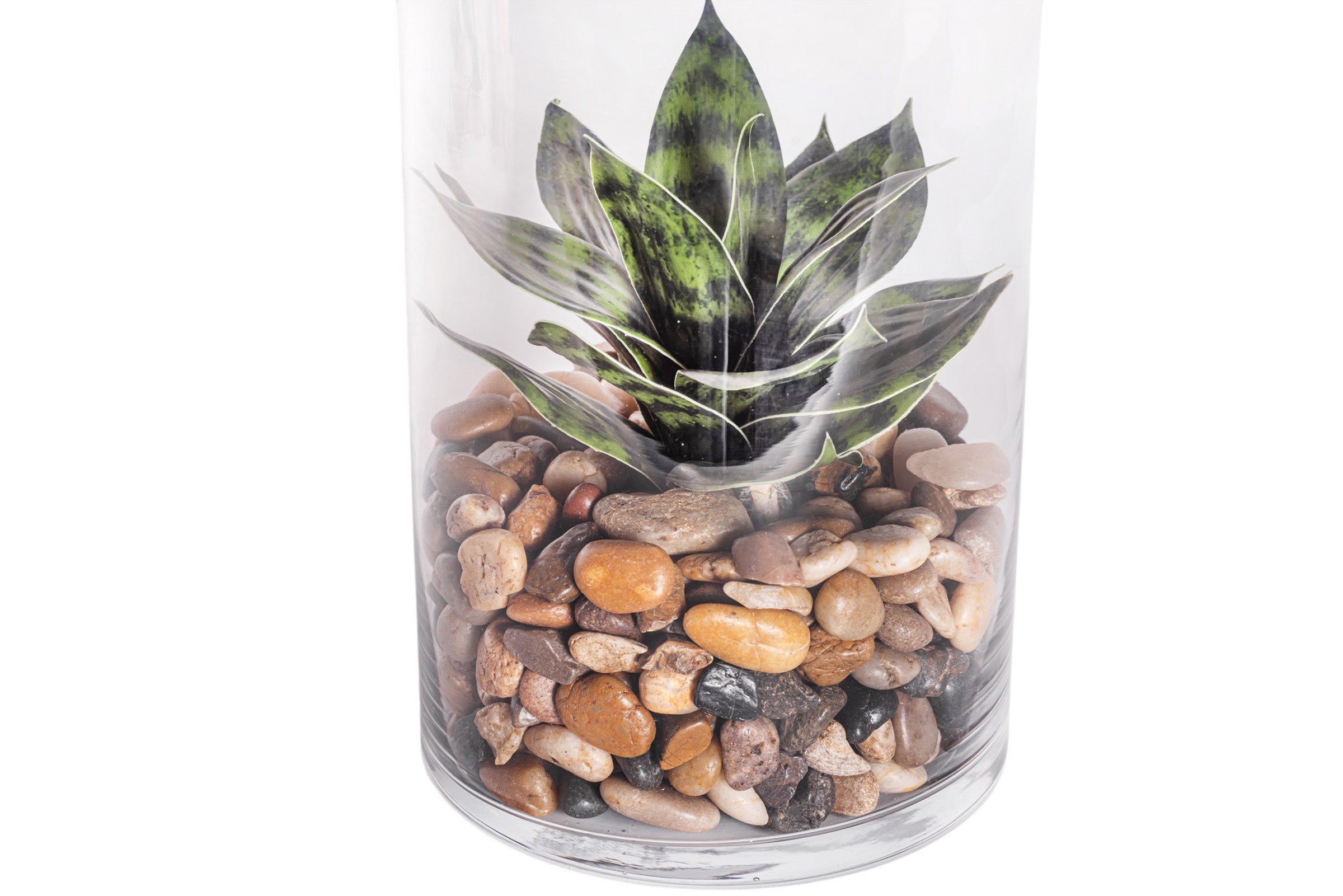 14" Kailee Vase with Snake Flower Arrangement