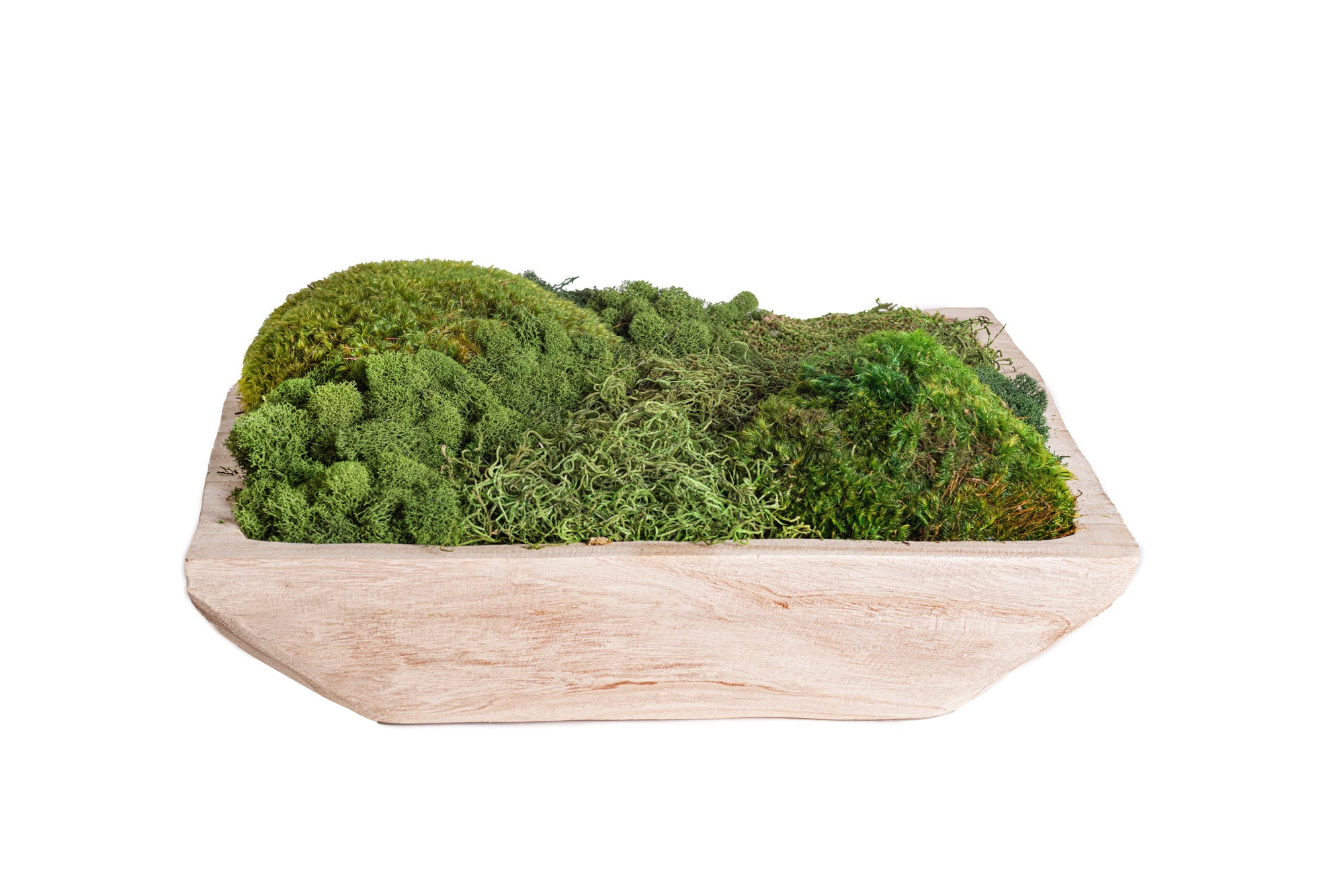 19" Sedona Square Bowl with Mixed Moss AR1126