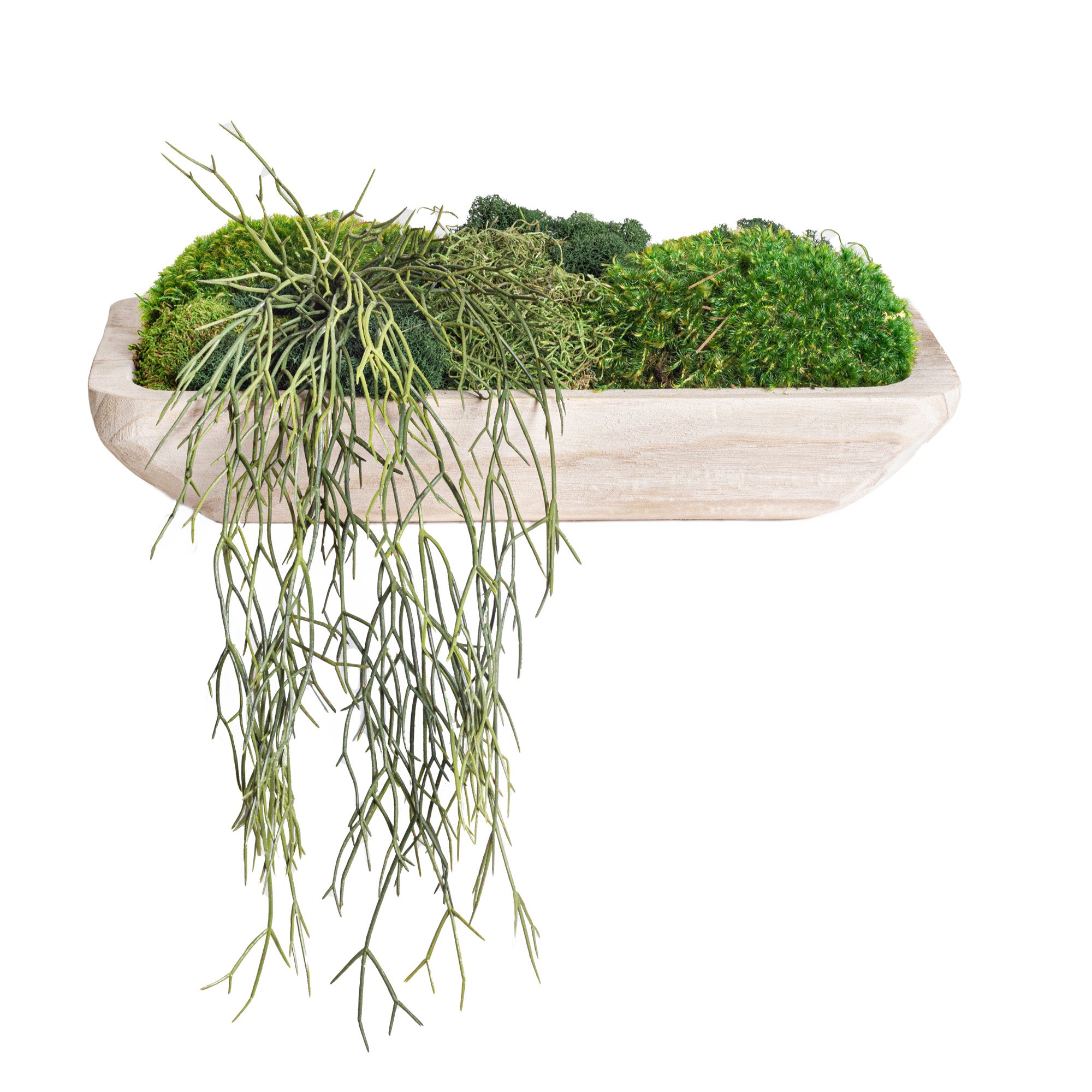 20" Sedona Wood Tray with Mixed Moss and Trailing Plant AR1136