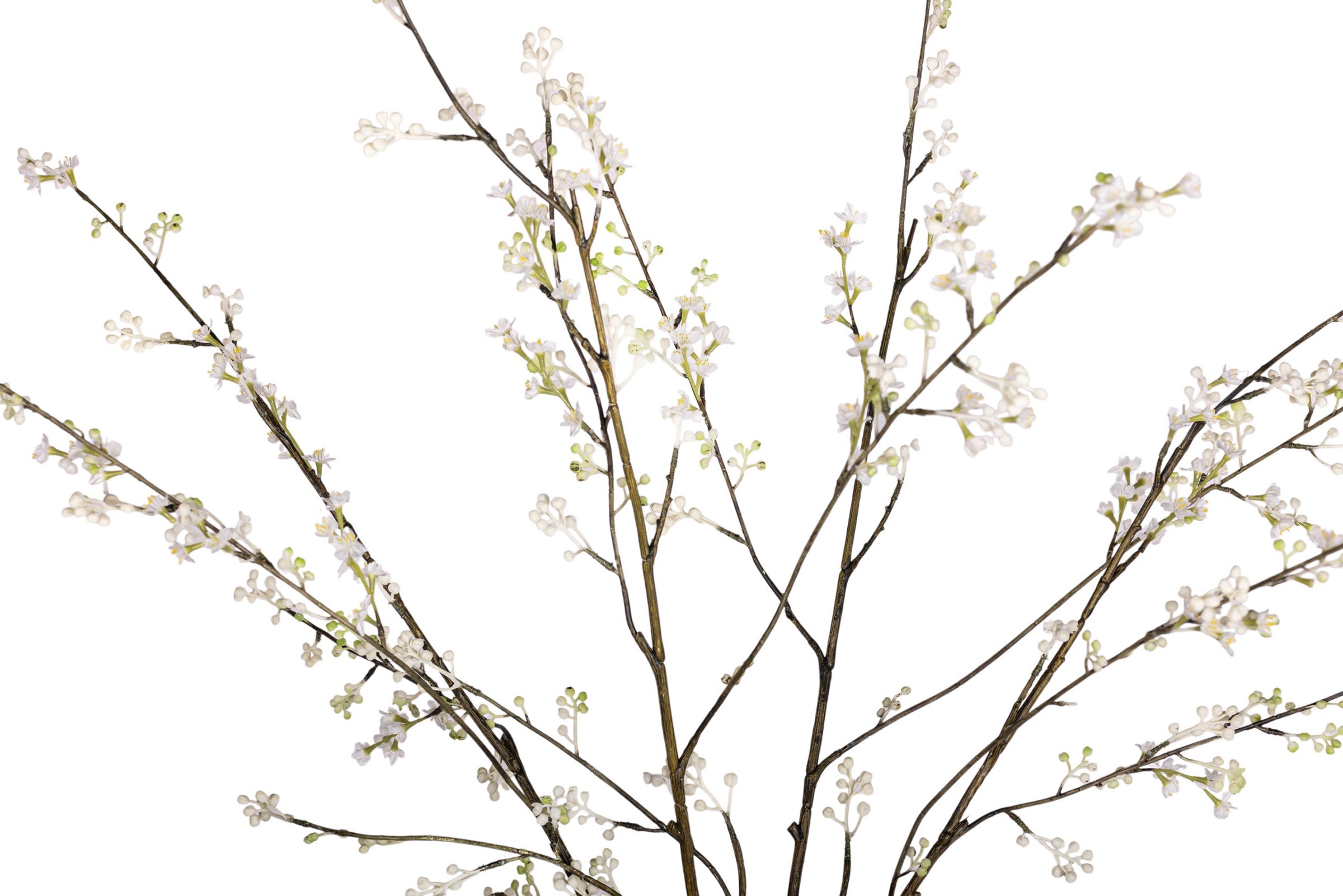 11" Wren Jug with Cherry Blossom Arrangement