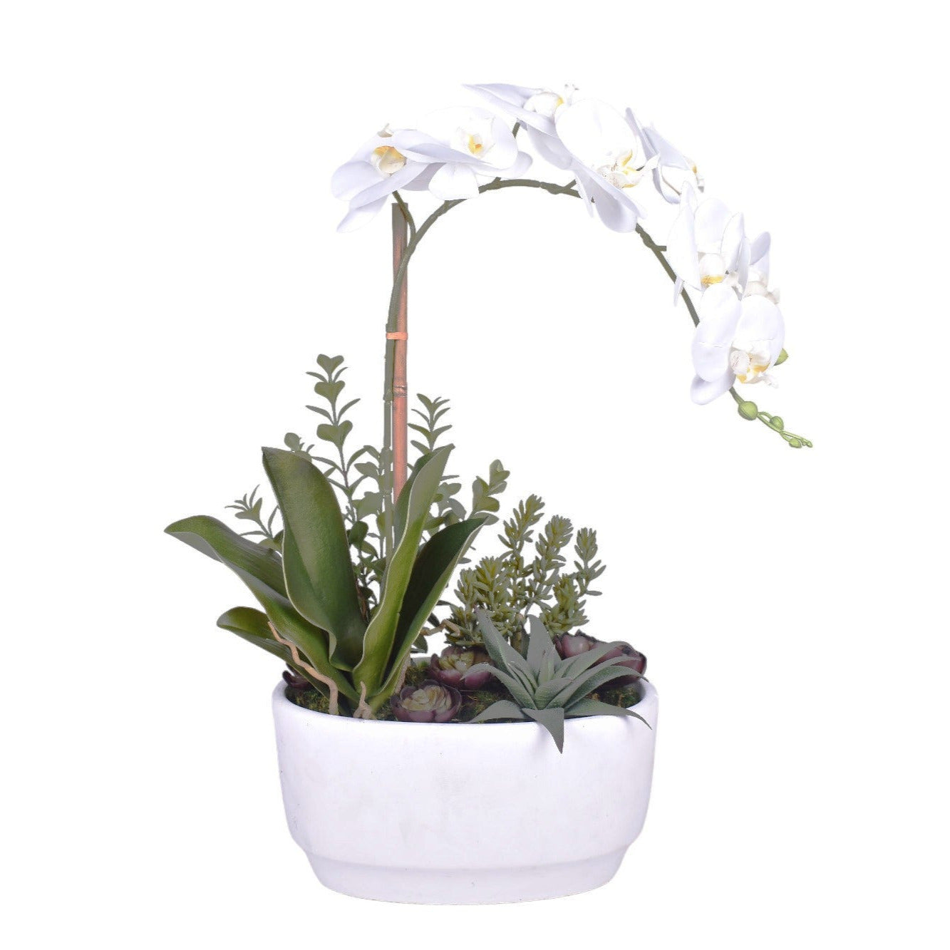 9" Glendale Bowl with Orchid and Succulents AR1161