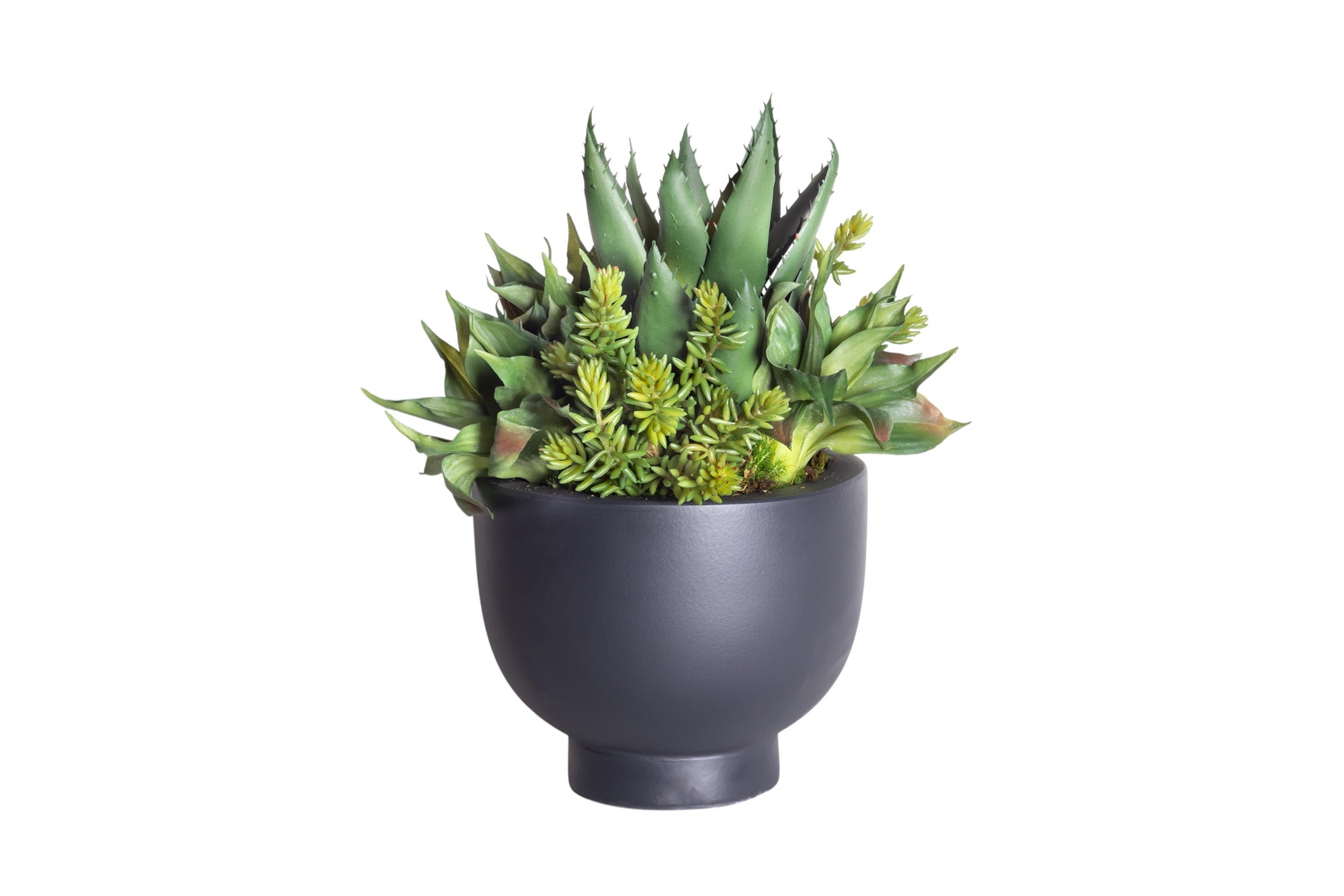 9" Black Mack Compote with Mixed Succulent Arrangement AR1239