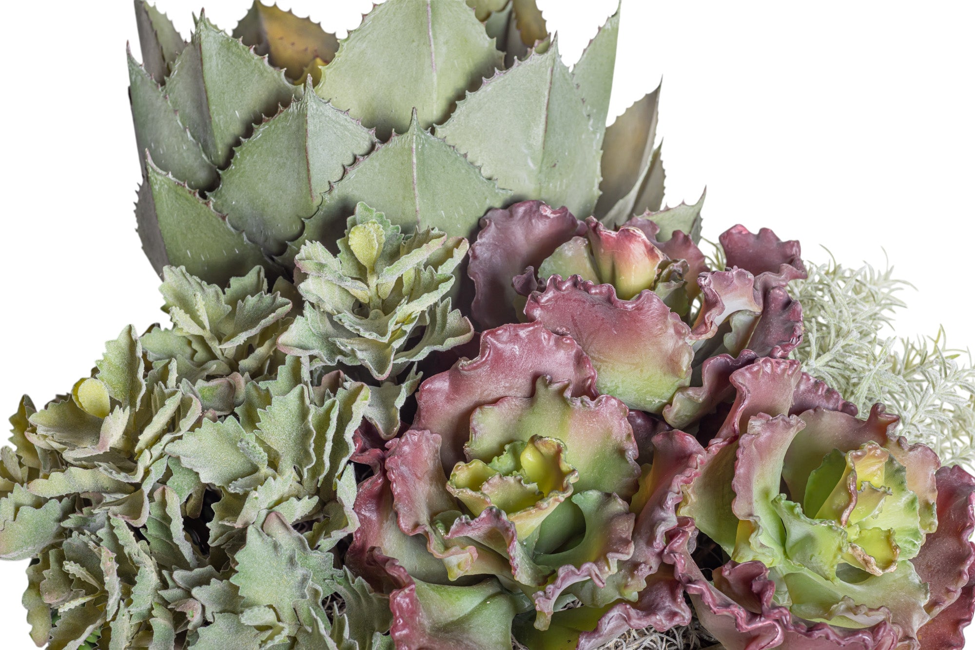 15" Verona Planter with Mixed Succulent Arrangement AR1267