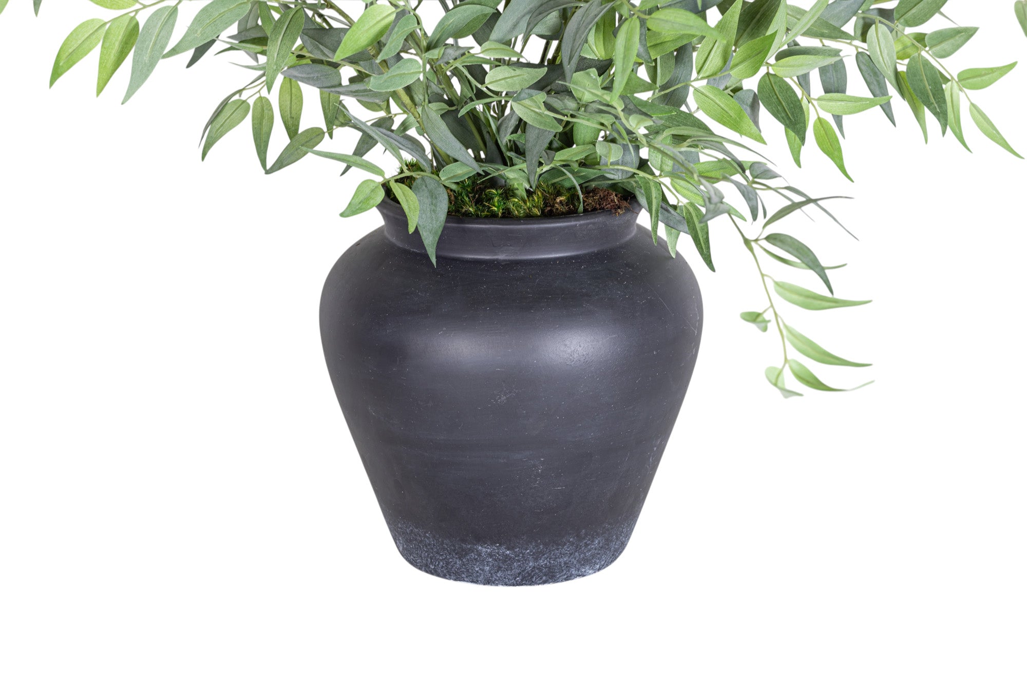 10" O'neil Pot with Ruscus Arrangement AR1295
