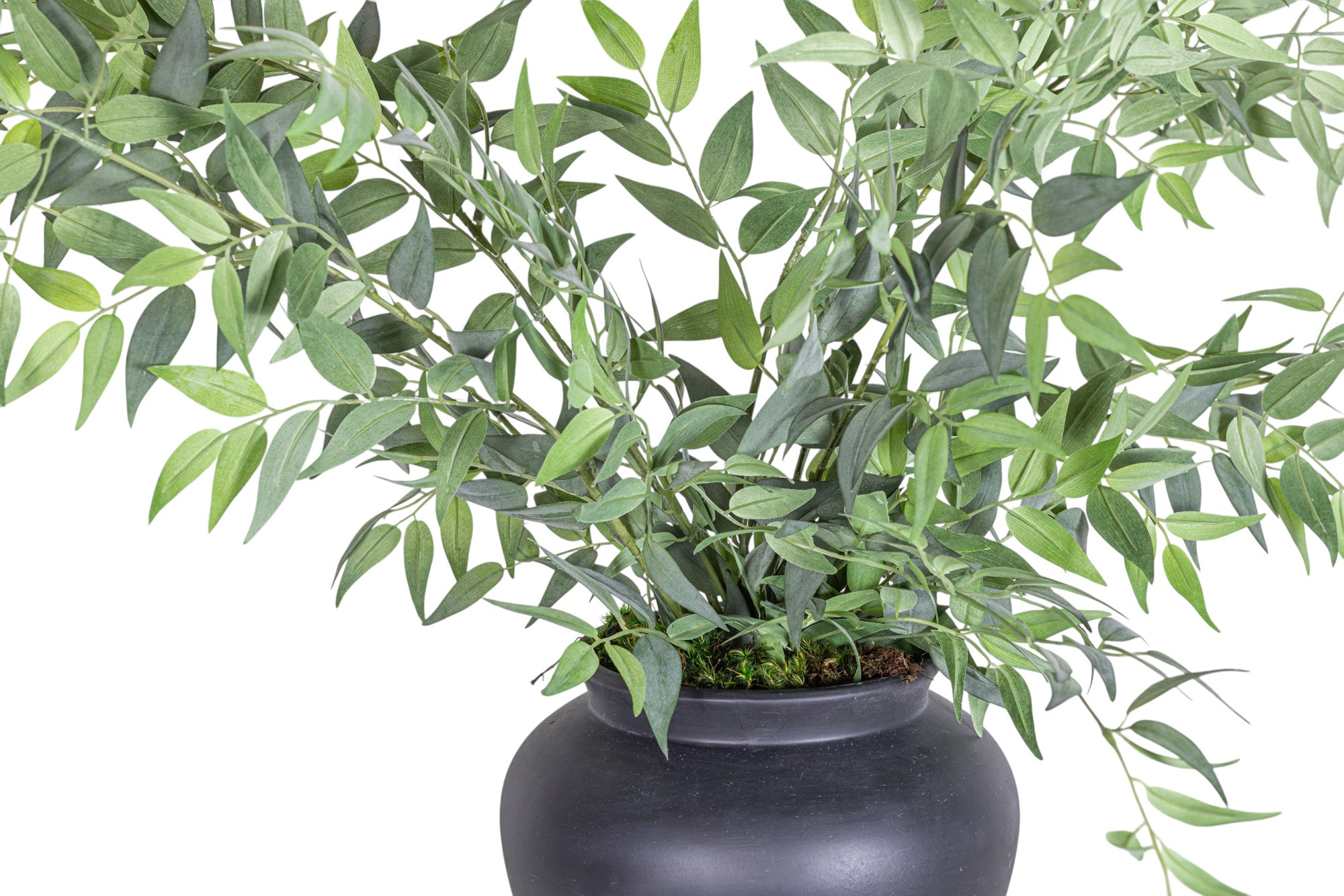 10" O'neil Pot with Ruscus Arrangement AR1295