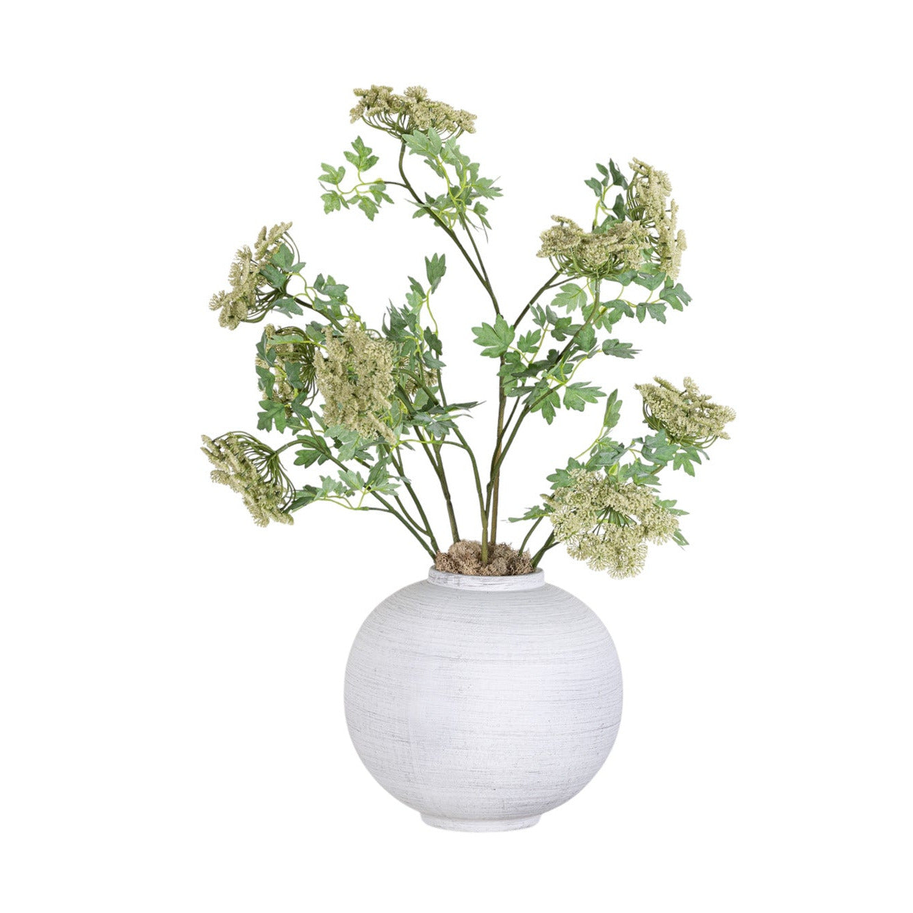 10" Tyler Vase with Queen Anne's Lace Arrangement AR1343