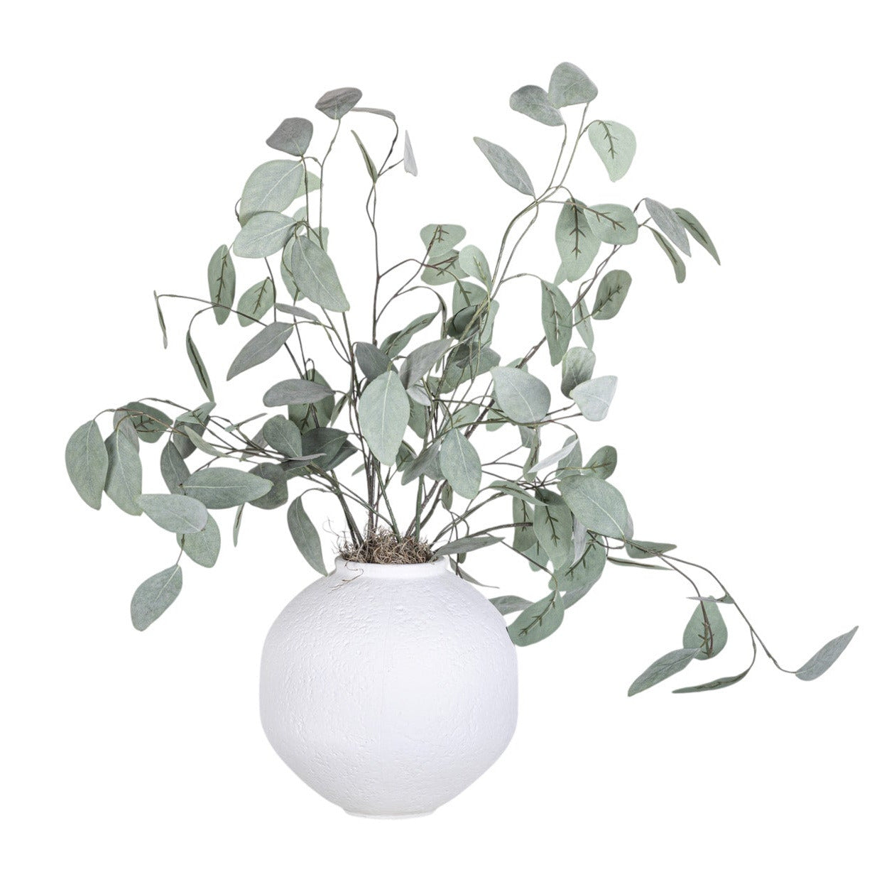 10" Nova Pot with Eucalyptus Arrangement AR1352