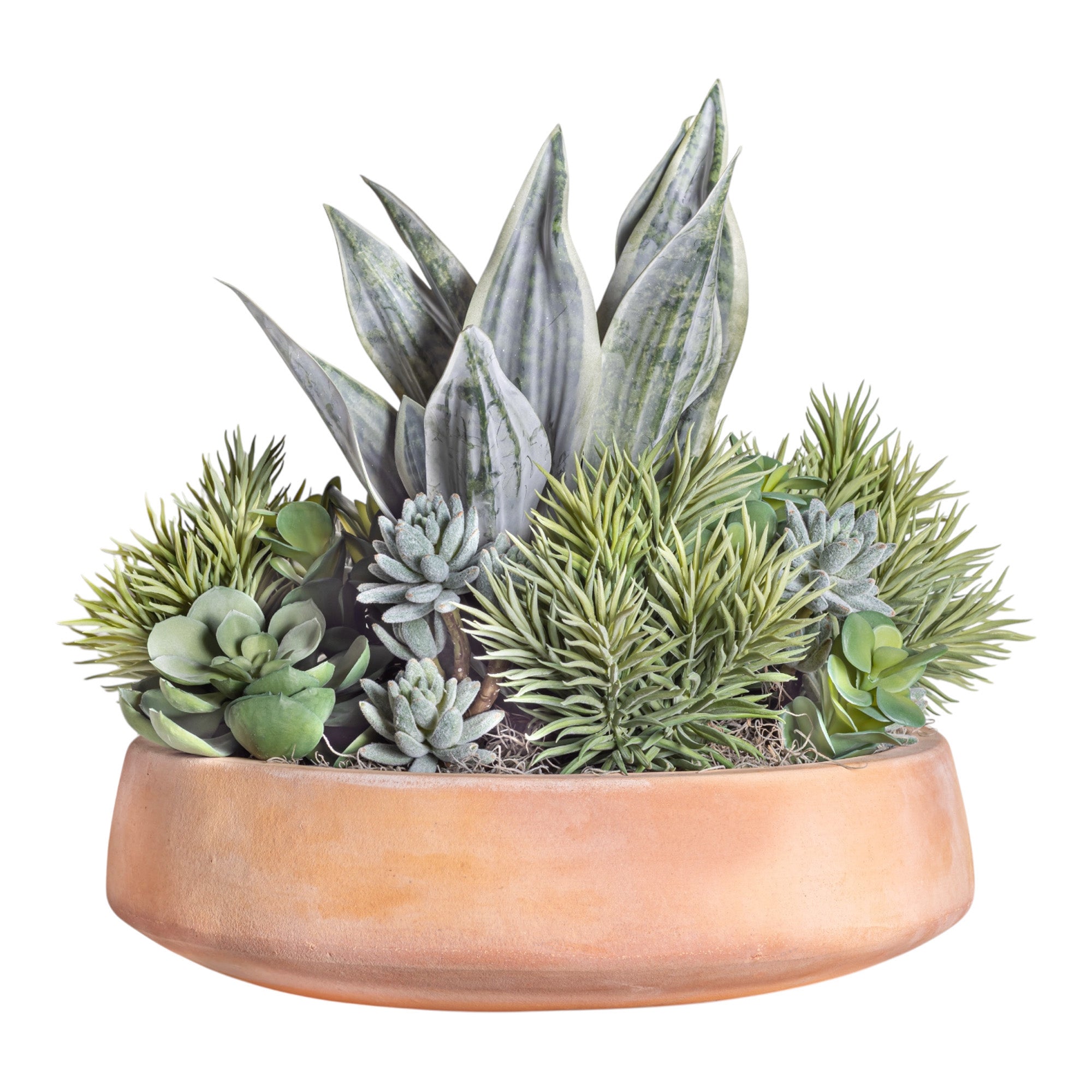 Mixed Succulent Arrangement in Terracotta Mack Bowl AR1375