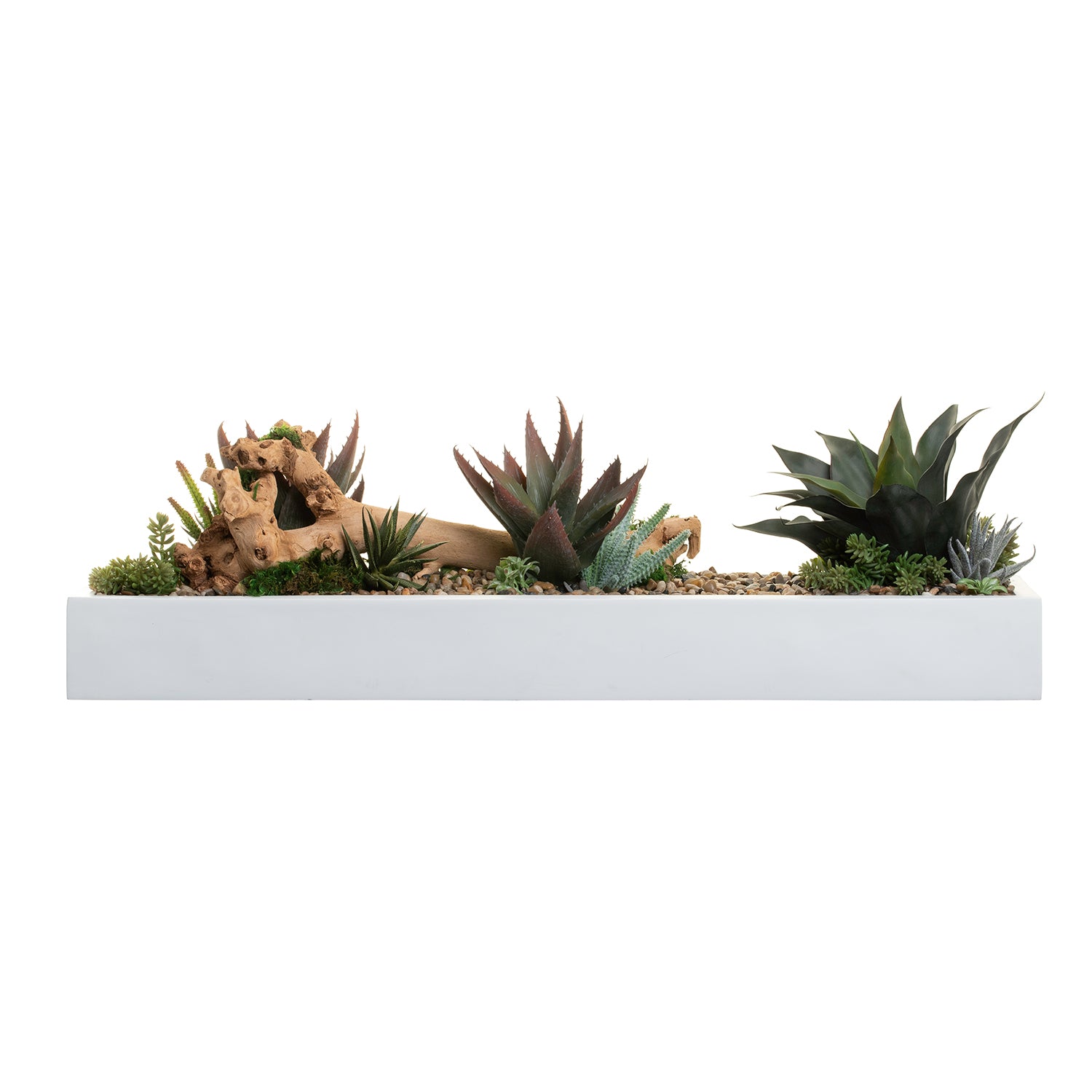 40" White Manhattan Tray with Succulent Arrangement AR1384