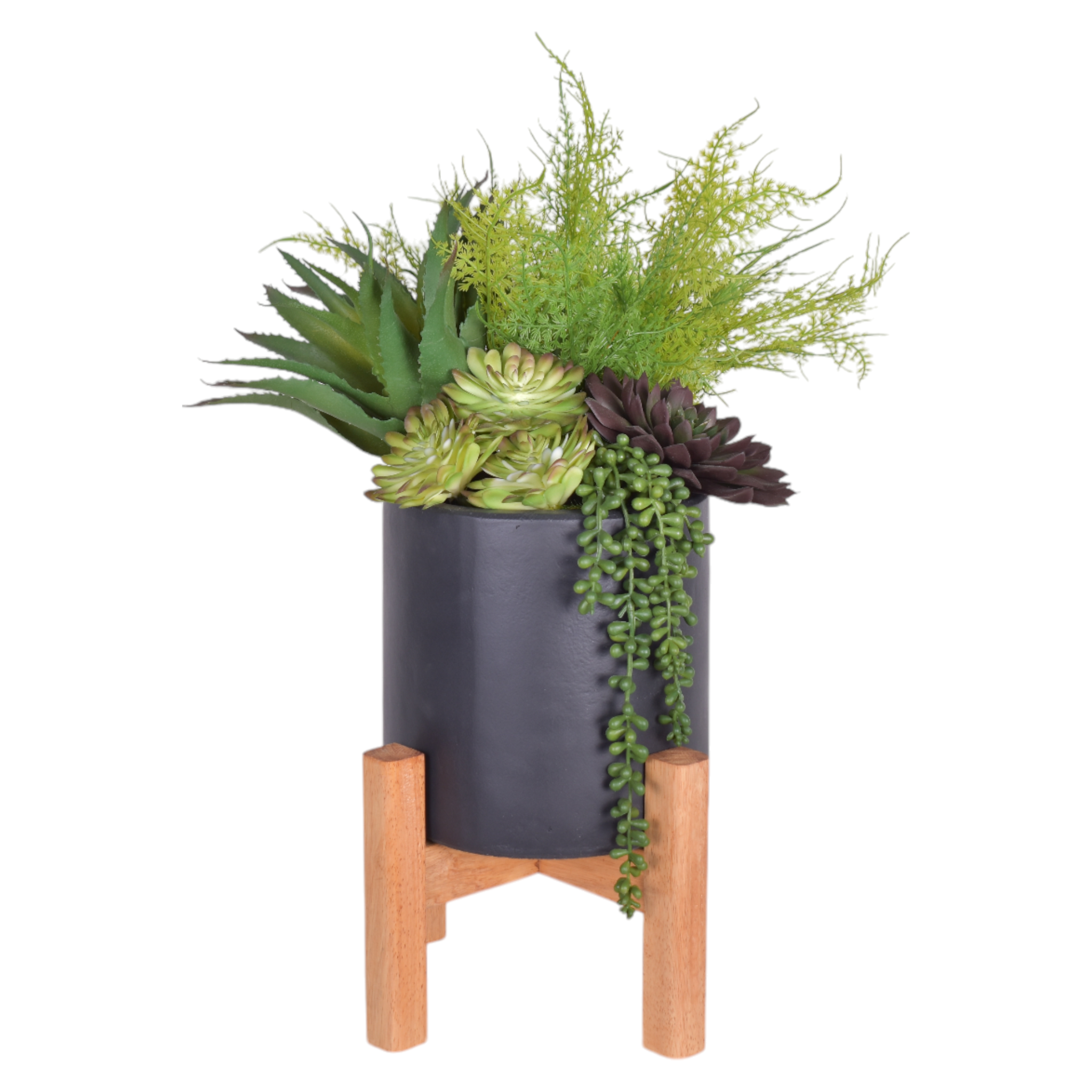 9" Korynn Planter with Succulent Arrangement AR1420