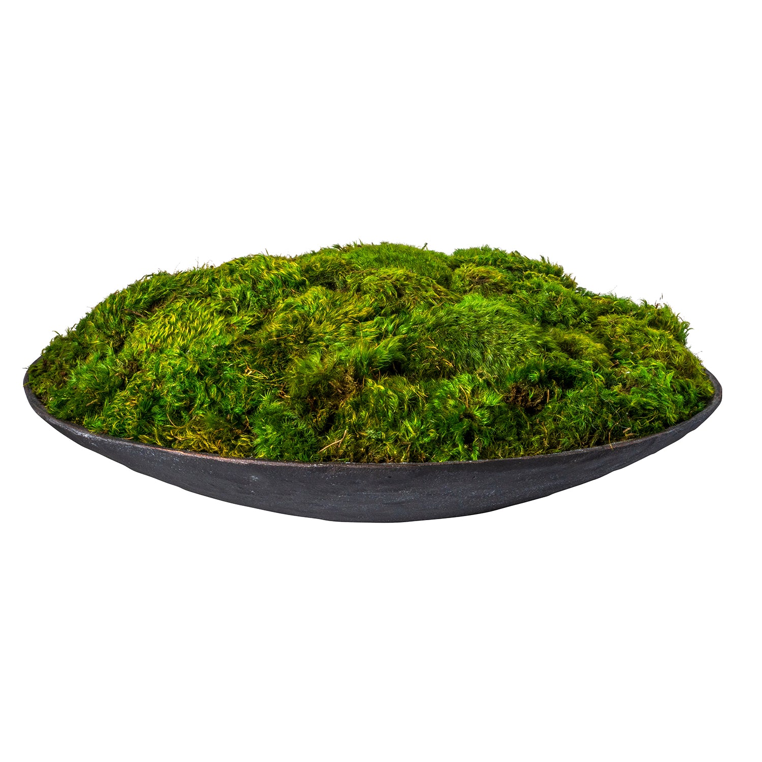 20" Tysen Metal Bowl with Mood Moss AR1520