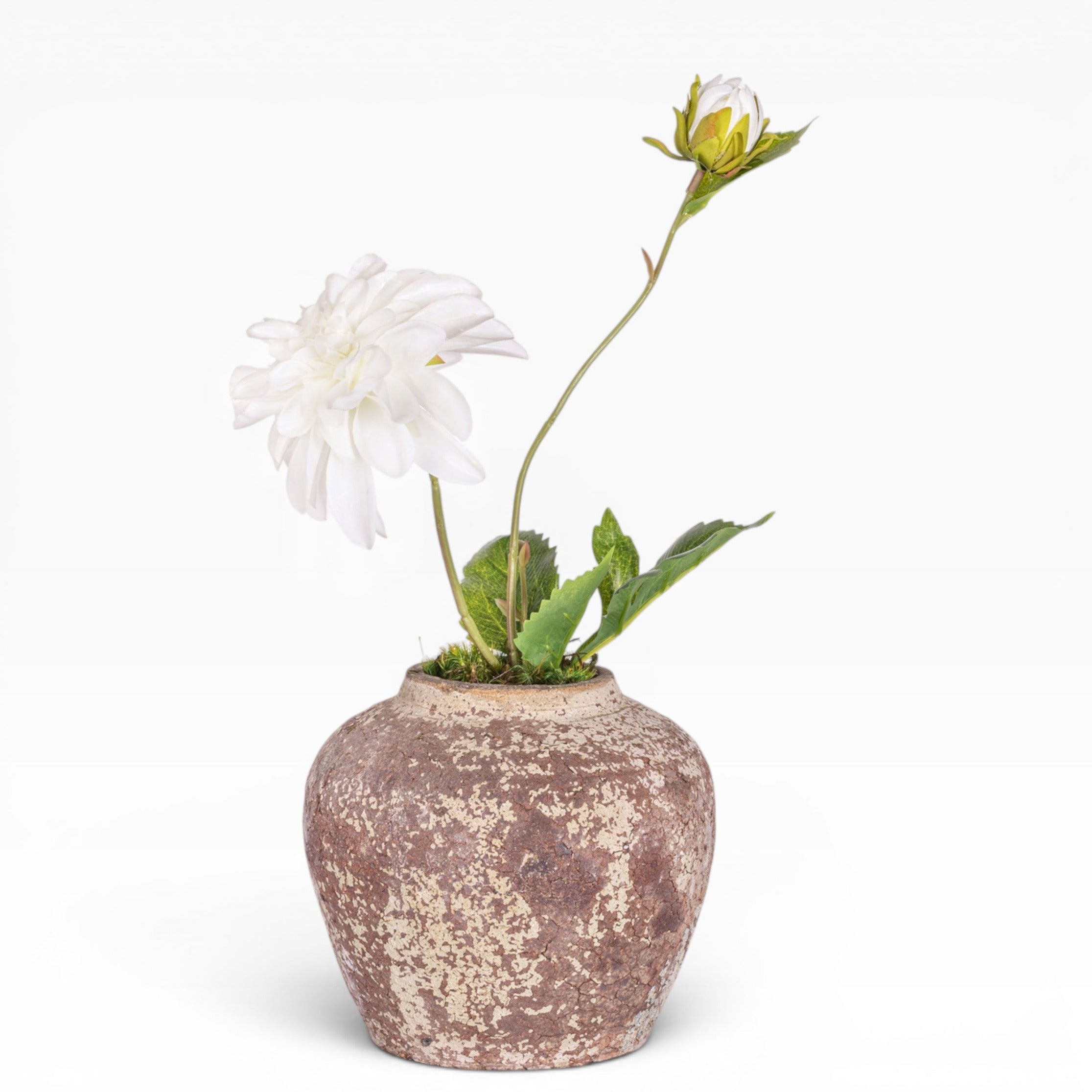 6" Haley Pot with Floral Arrangement