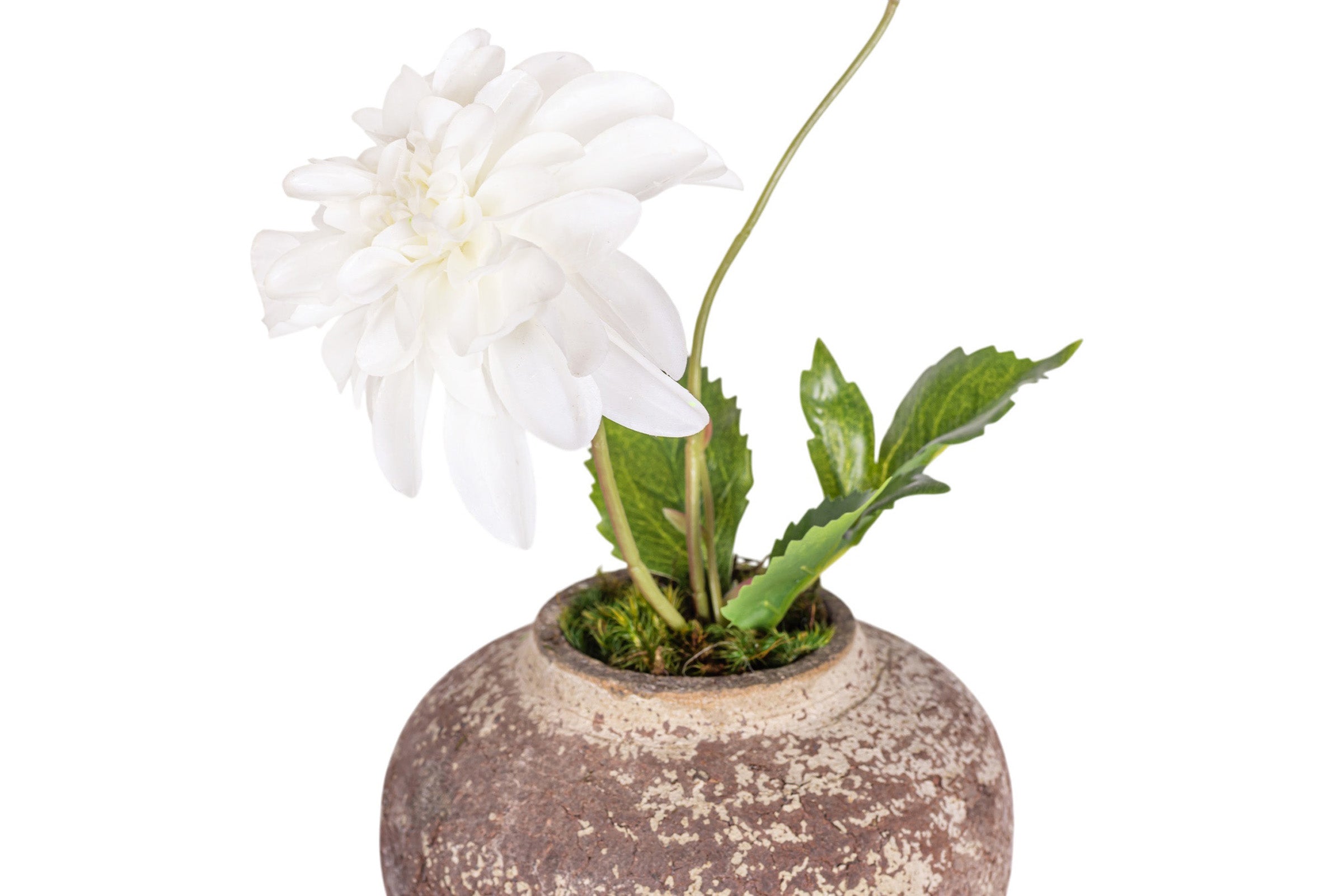 6" Haley Pot with Floral Arrangement