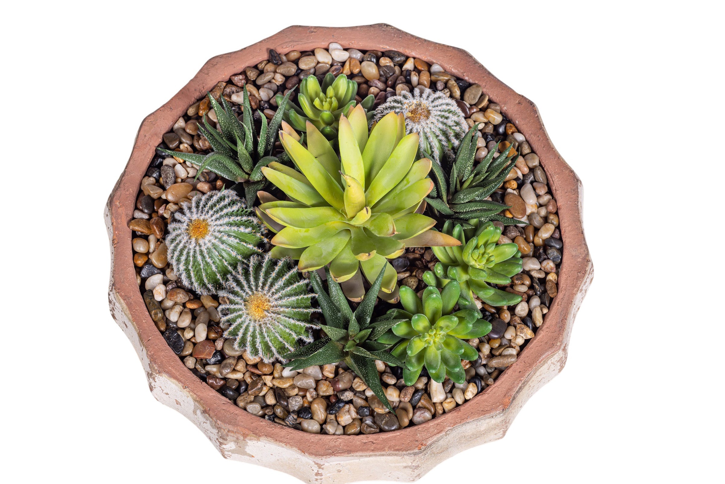 14" Ansel Bowl with Mixed Succulent Arrangement