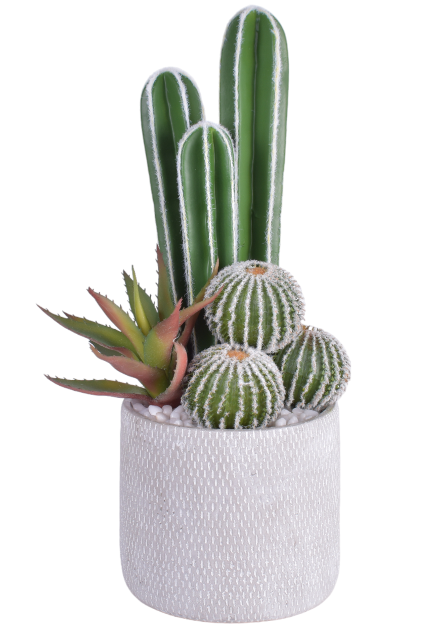 7.5" Weaver Pot with Cactus Arrangement AR1643