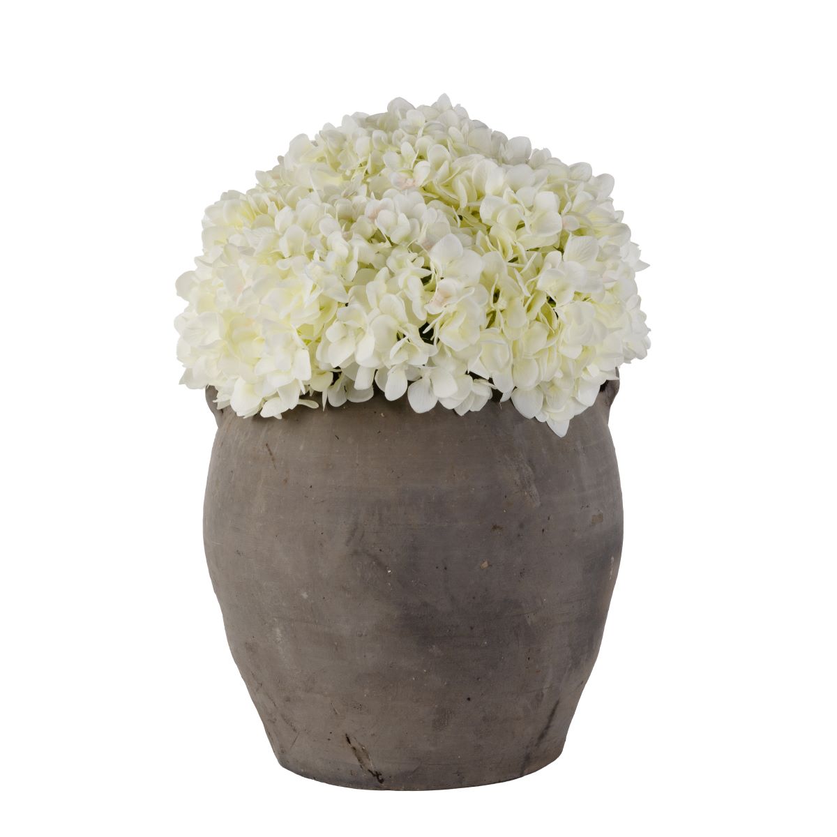 white hydrangea plant in pots 2 Handled Vintage Clay Pot with White Hydrangea Arrangement AR1671