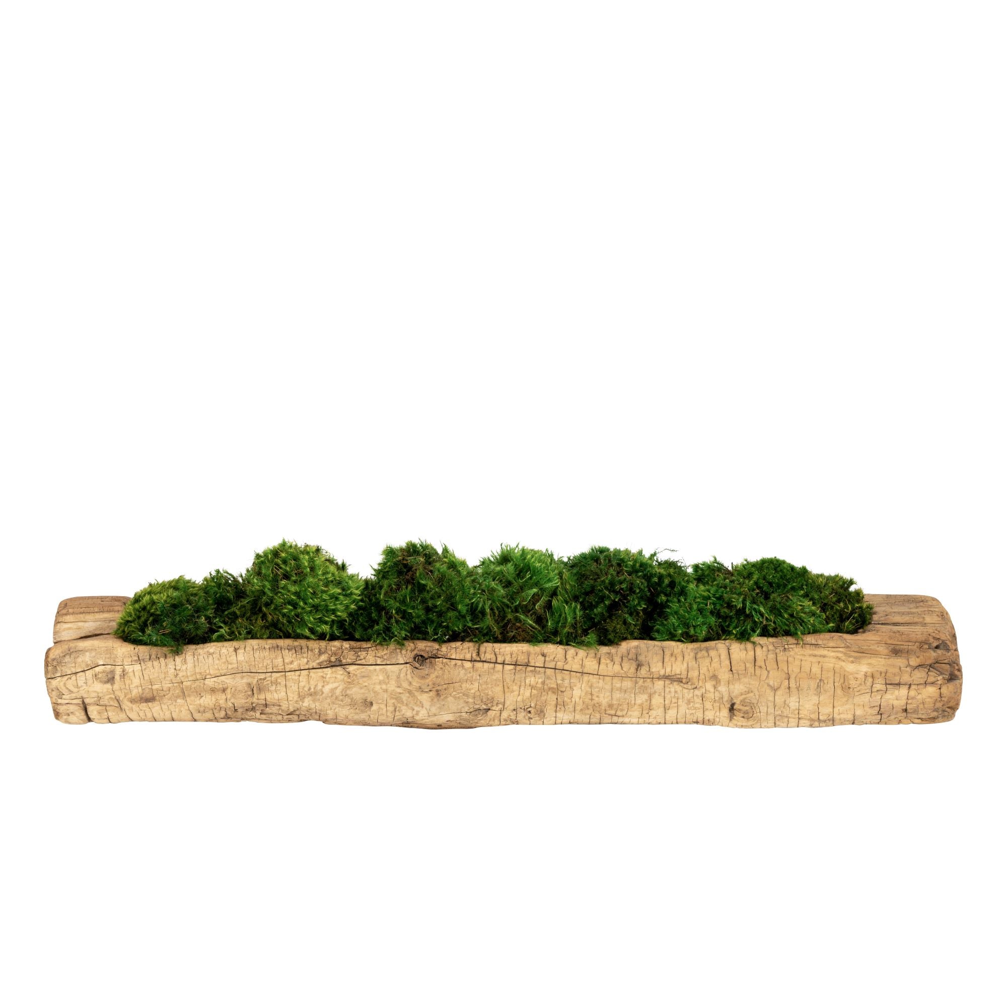 Large Vintage Reclaimed by Wood Planter with Mood Moss Arrangement AR1679