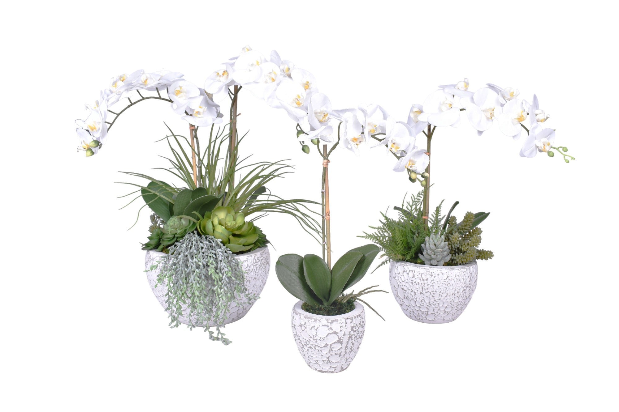 Vienna Pot Trio with Orchid Arrangements AR1725