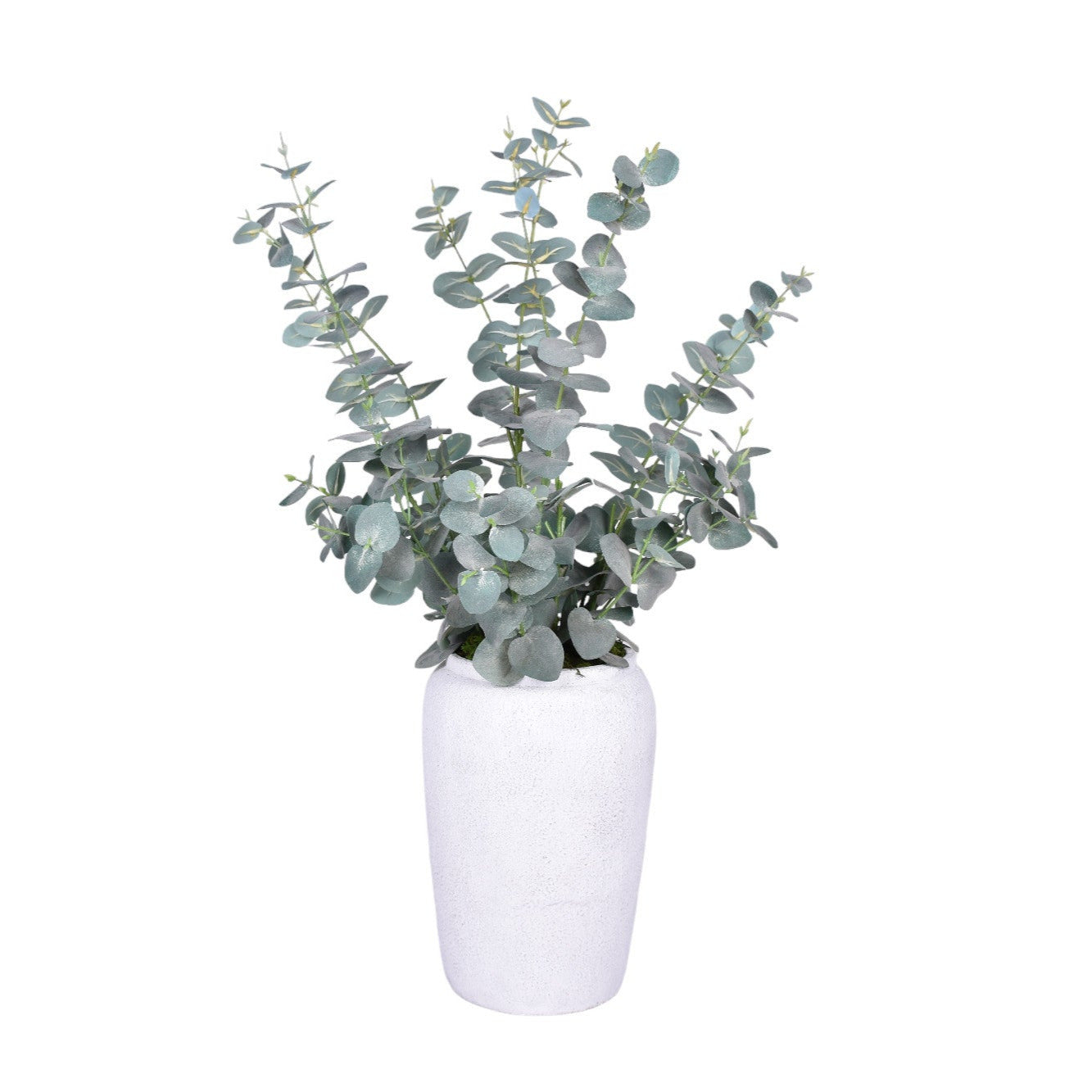 Medium Tyberious Vase with Eucalyptus AR1729