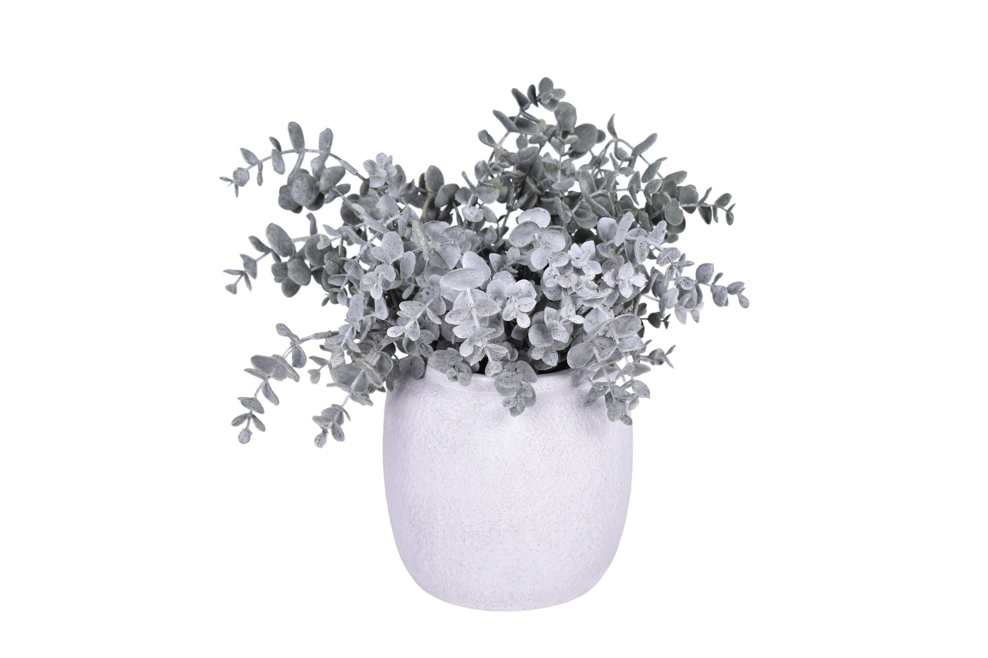 Small Tyberious Pot with Eucalyptus AR1730