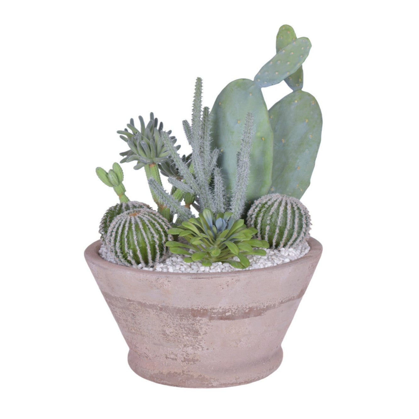 Oaxaca Bowl with Cactus Arrangement AR1747