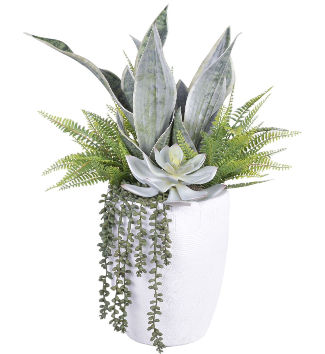 Milani Vase with Sansevieria and Succulents AR1752