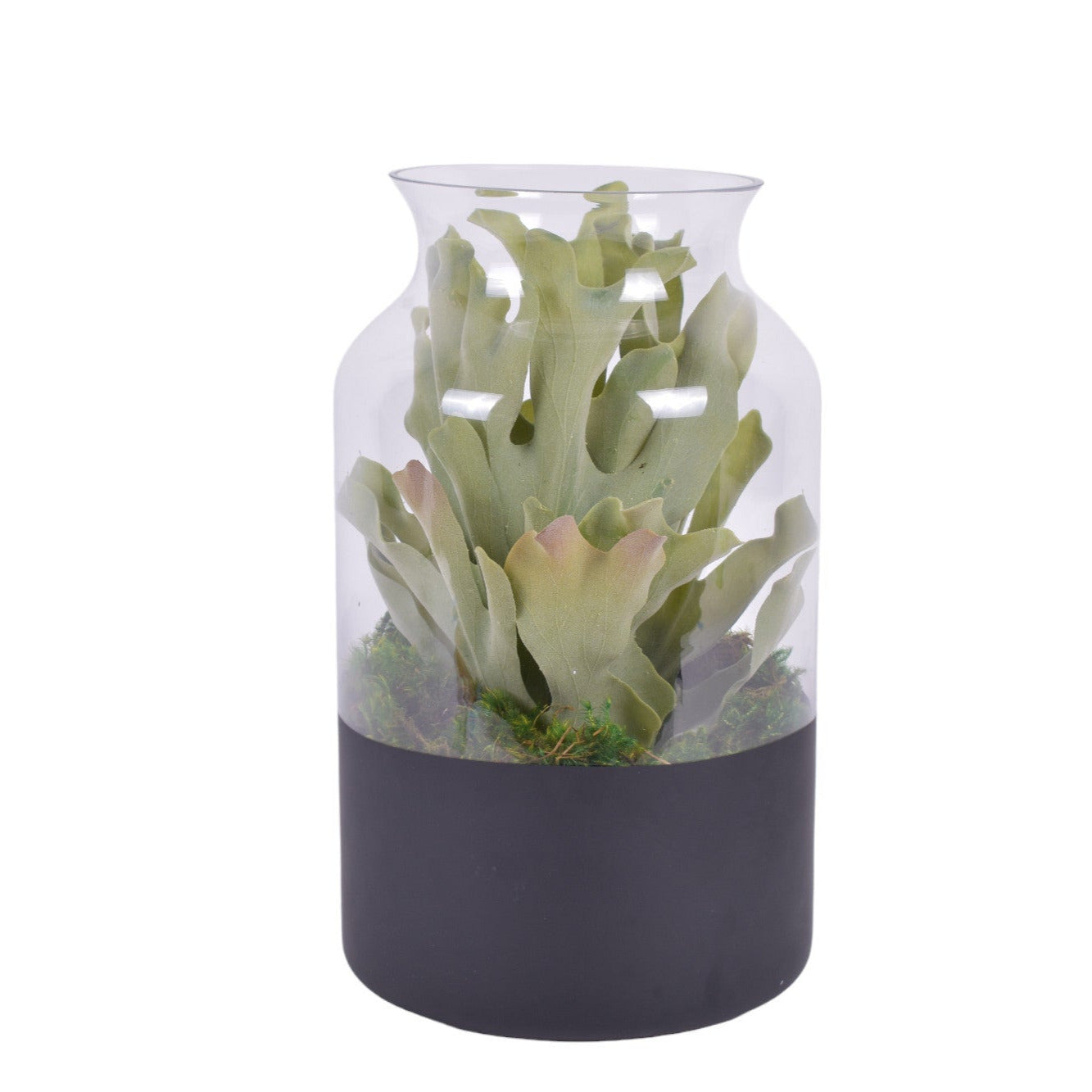 17.25" Poet Vase with Staghorn Fern   AR1767